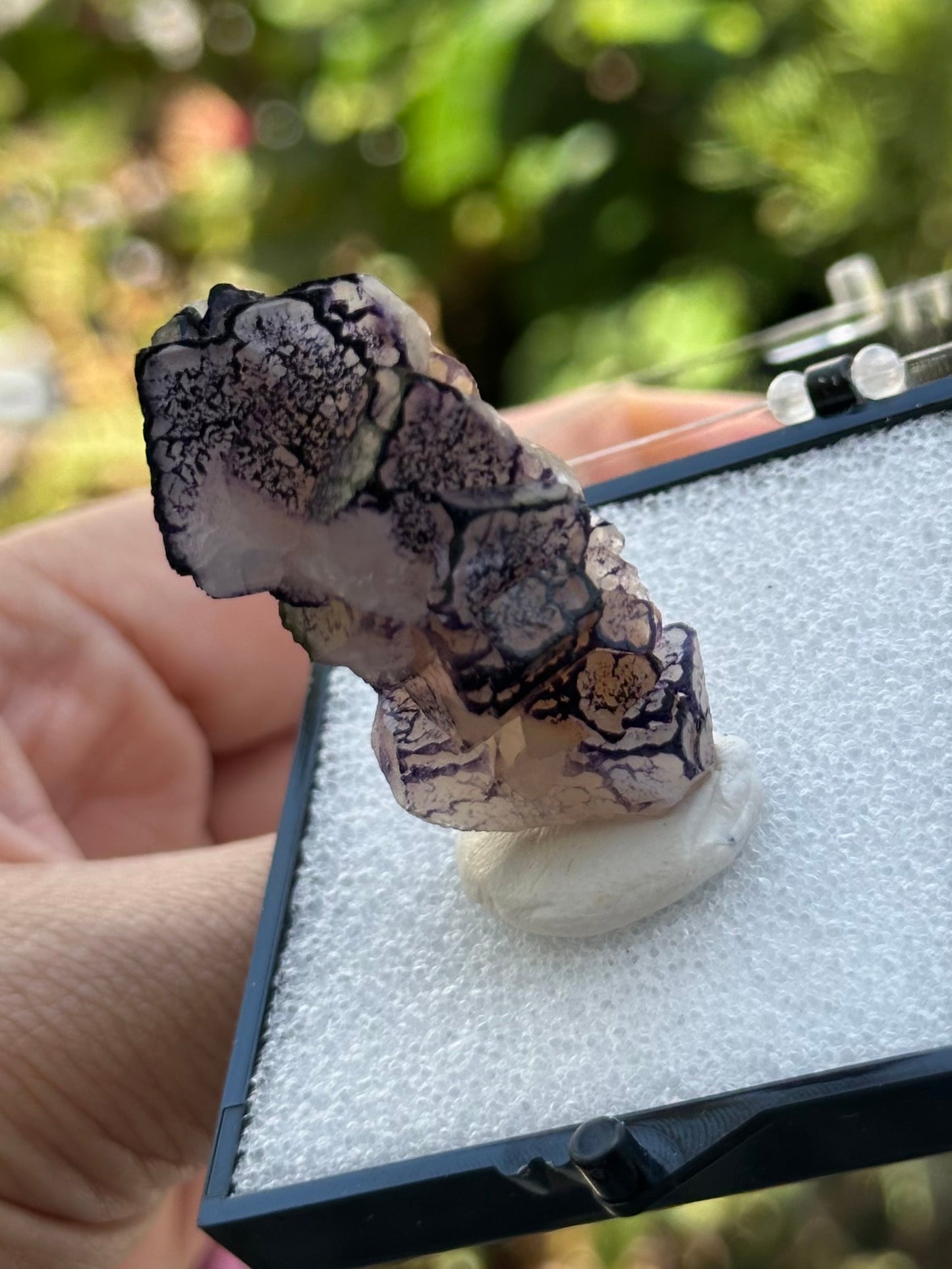 QR Code Fluorite