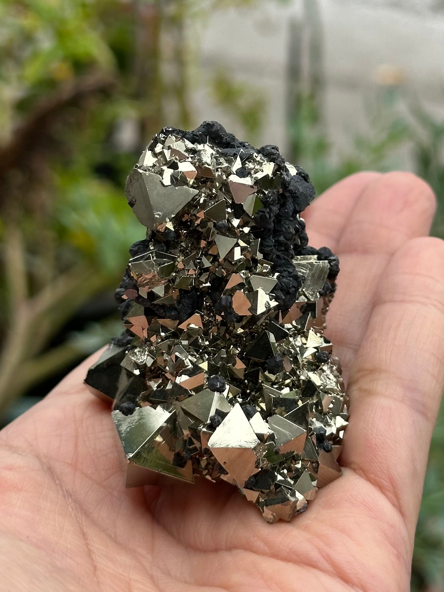Pyrite Specimen from the Huanzala Mine, Peru