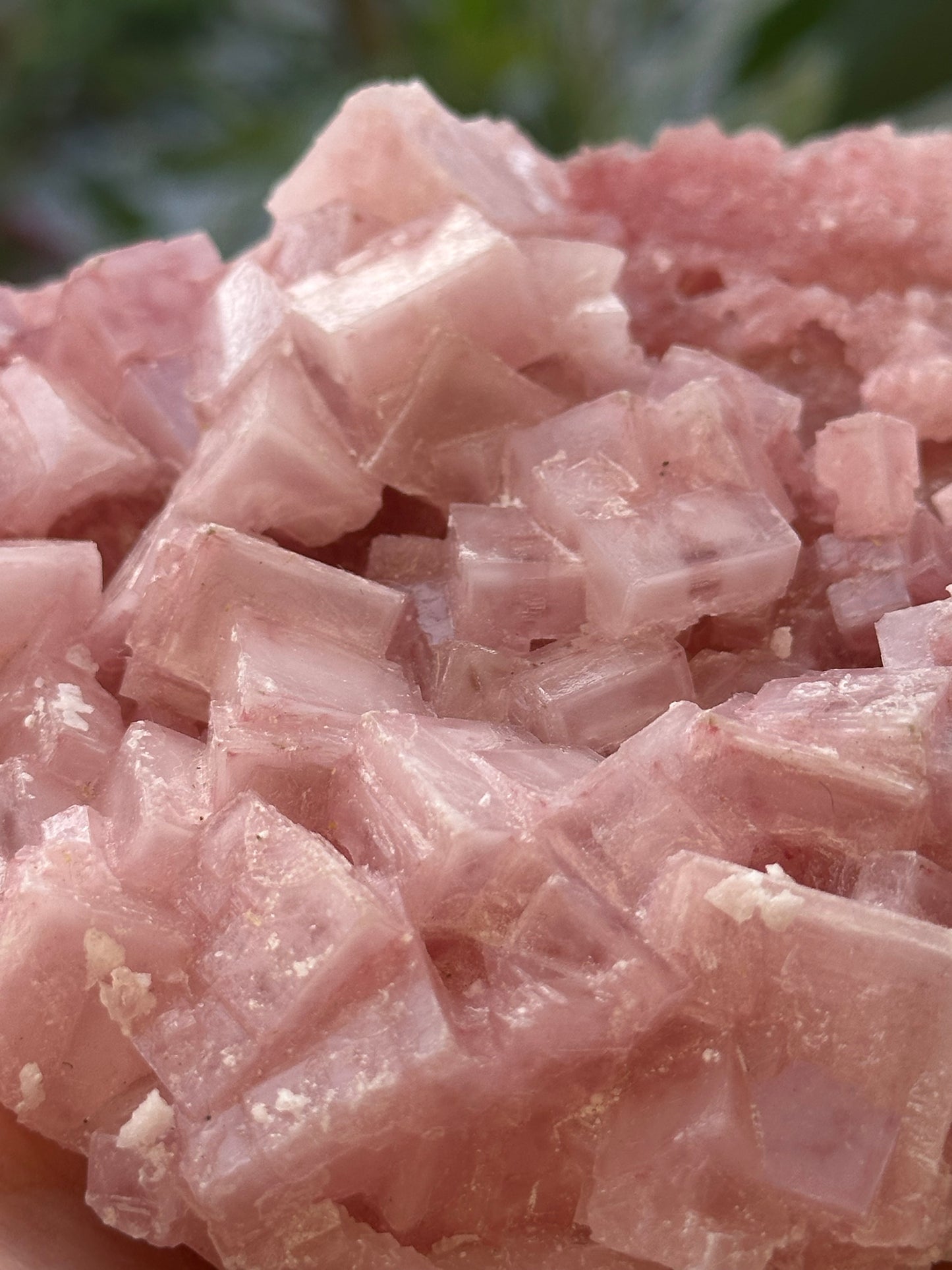 Pink Halite from Searles Lake, California
