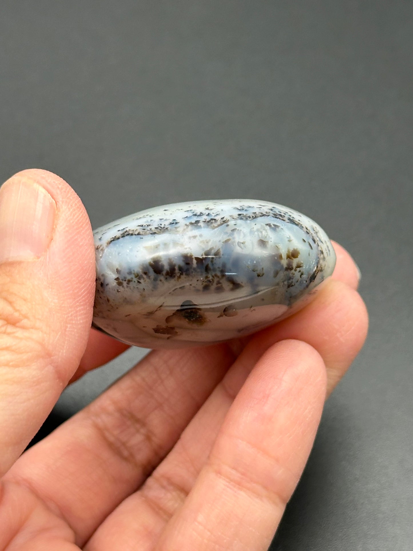 Dendritic Agate Palm Stone