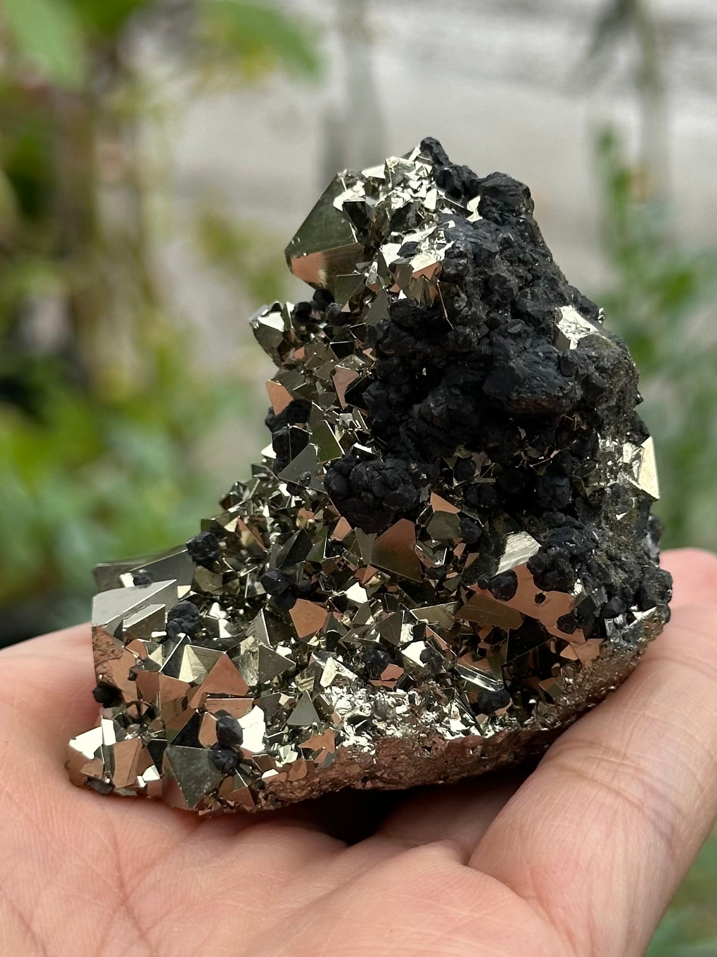 Pyrite Specimen from the Huanzala Mine, Peru