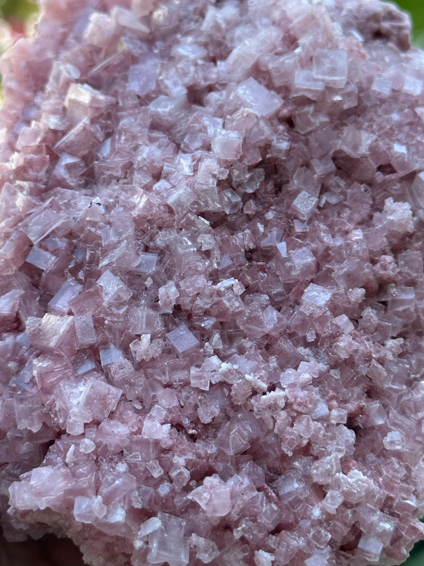 Pink Halite from Searles Lake, California