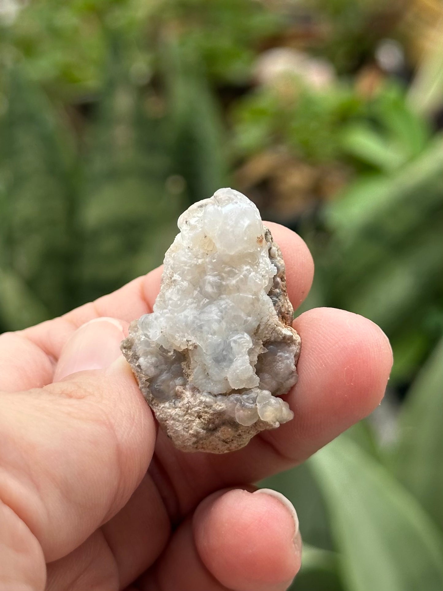 Hyalite Opal from Mexico