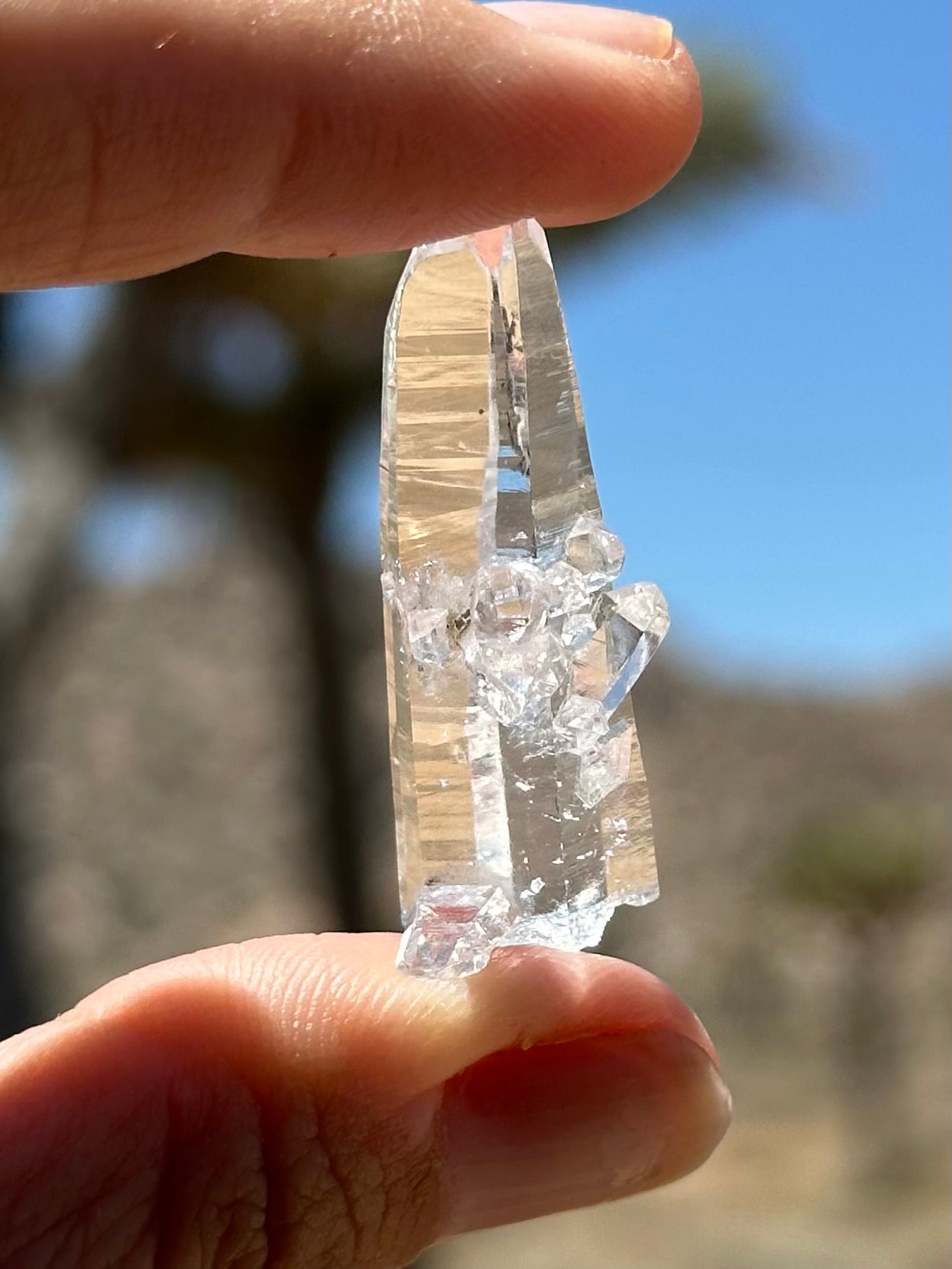 Peñas Blancas Quartz