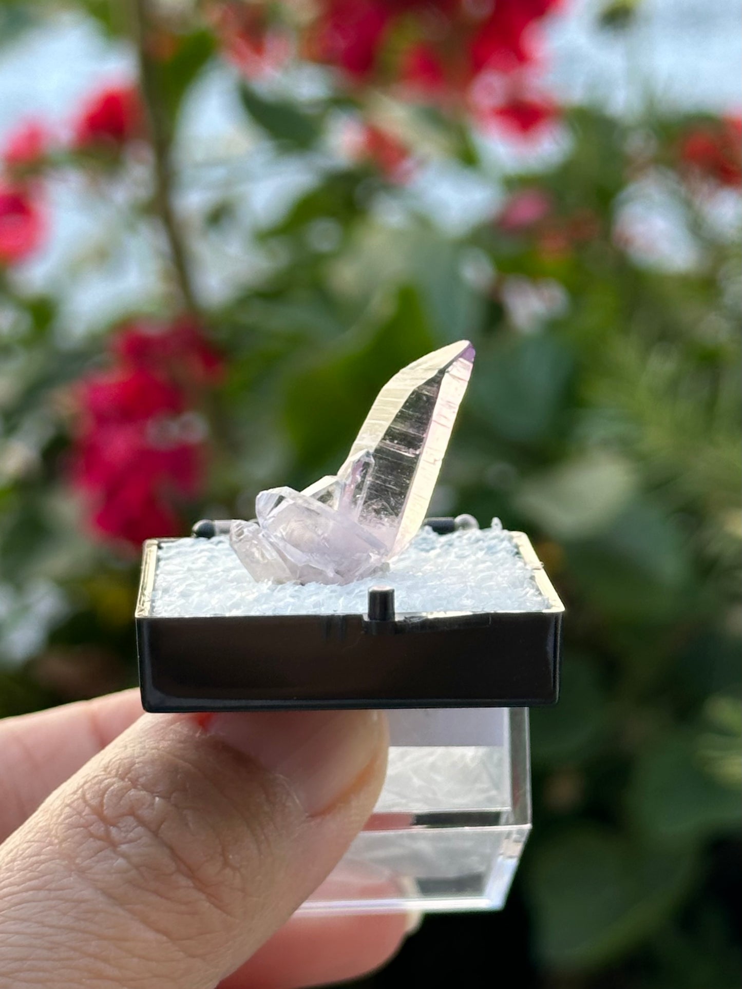 Veracruz Amethyst