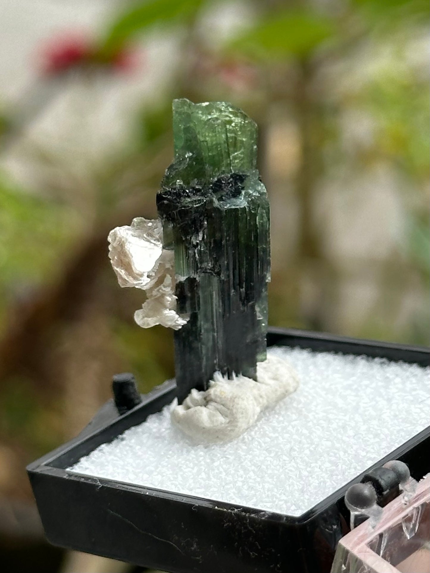 Green Tourmaline and Lepidolite from Stak Nala, Pakistan