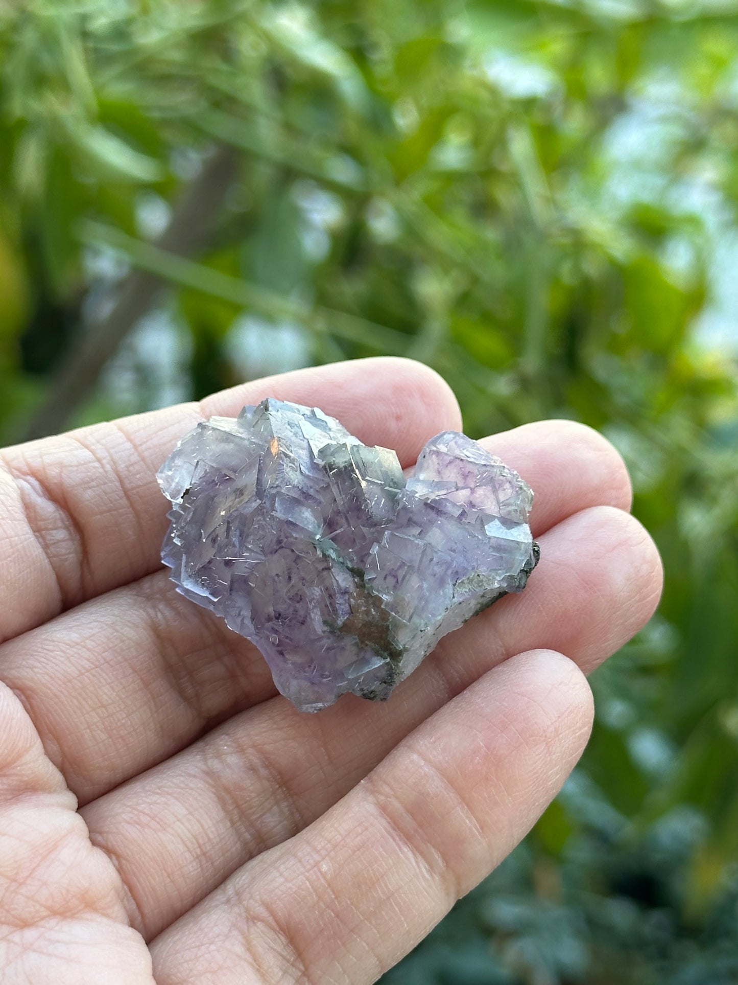 YGX Fluorite