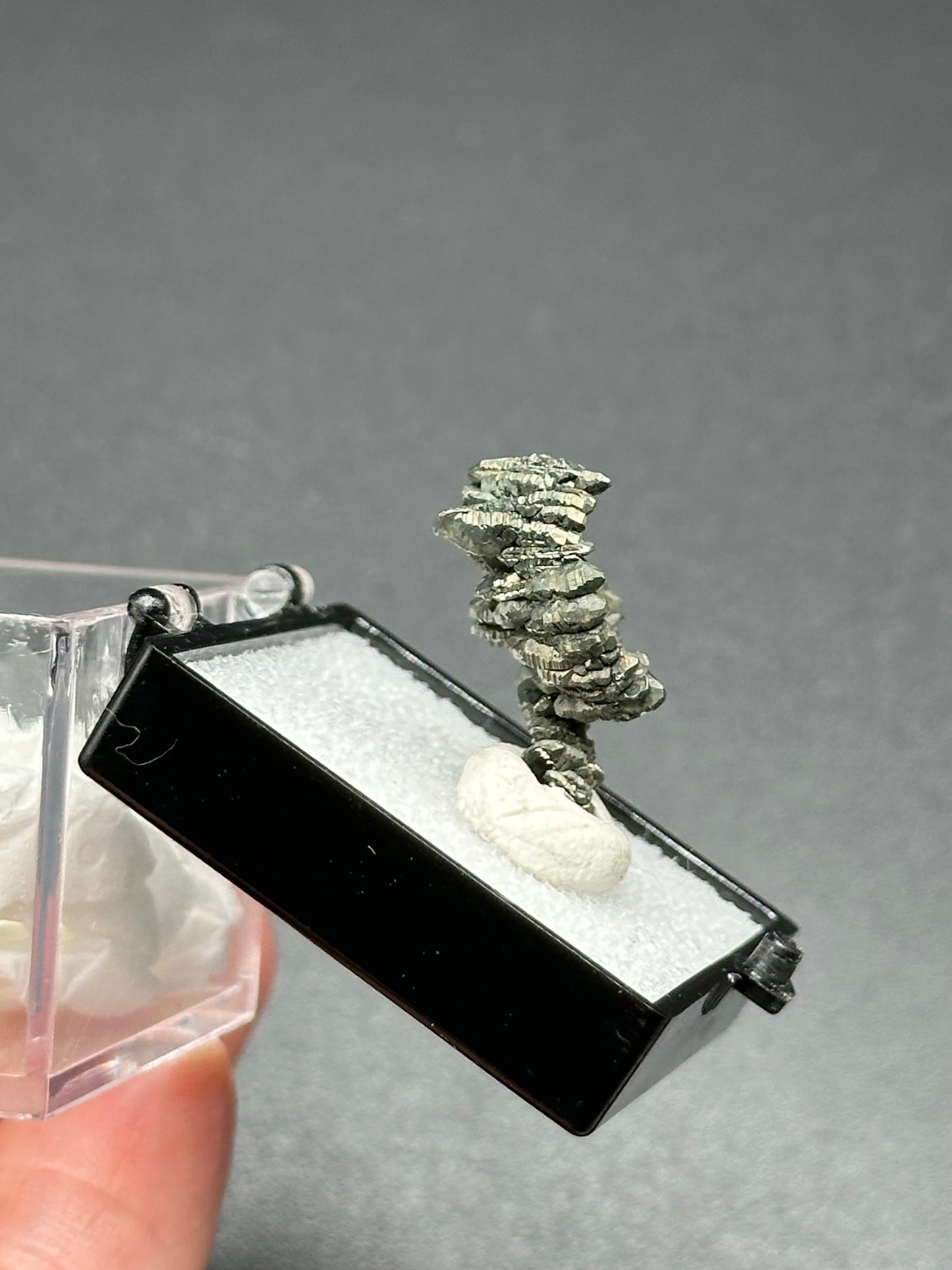 Marcasite Specimen from the Linwood Mine