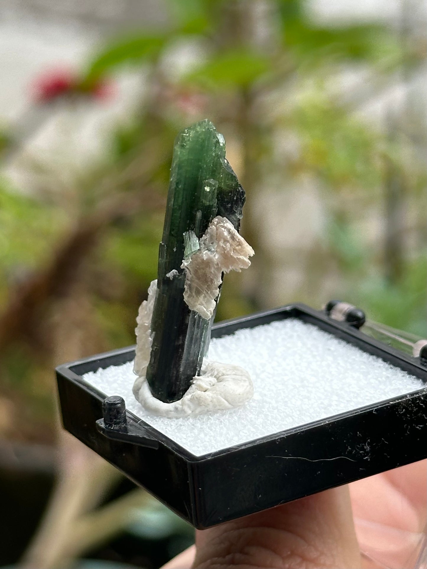 Green Tourmaline and Lepidolite from Stak Nala, Pakistan