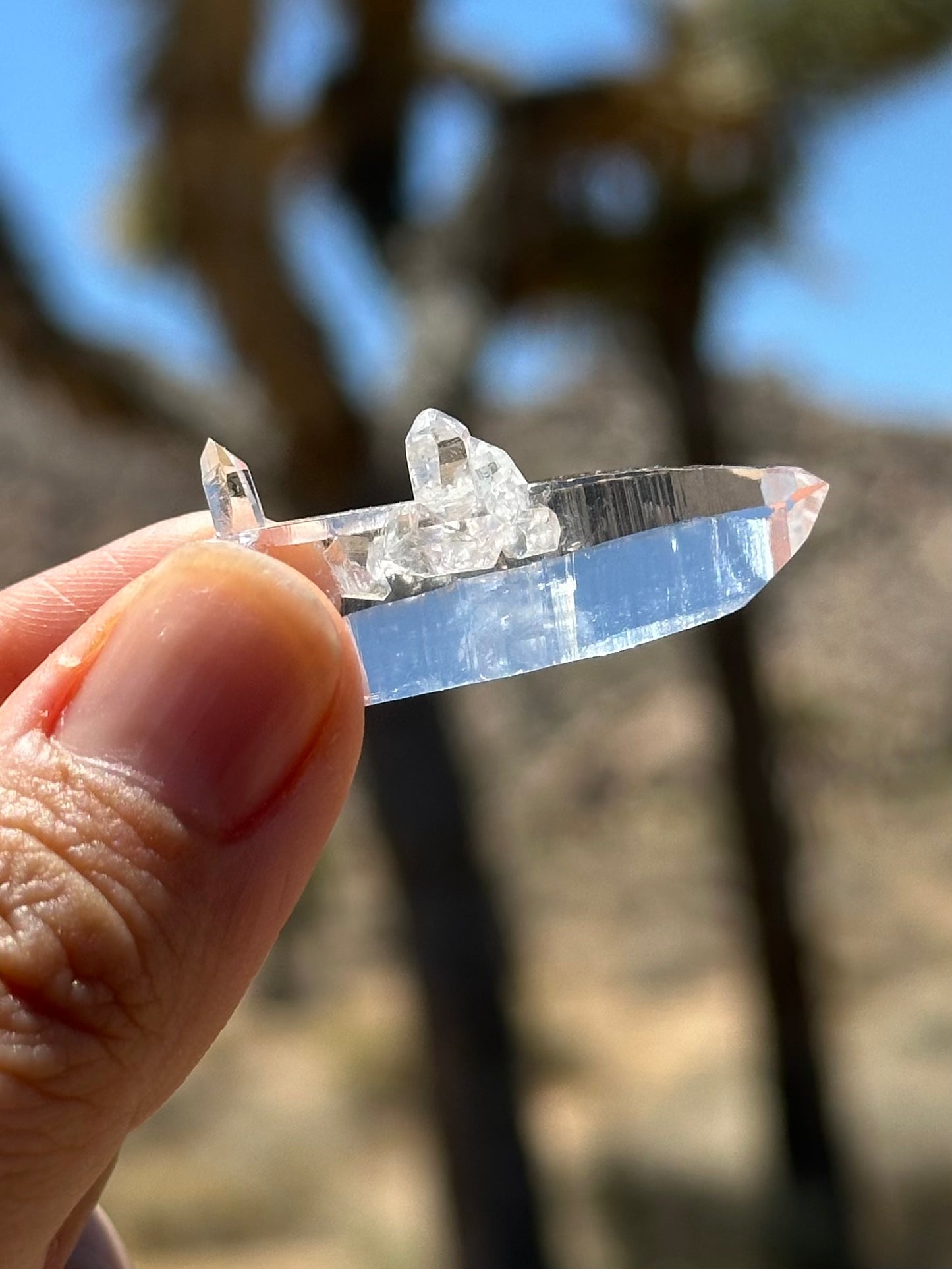 Peñas Blancas Quartz