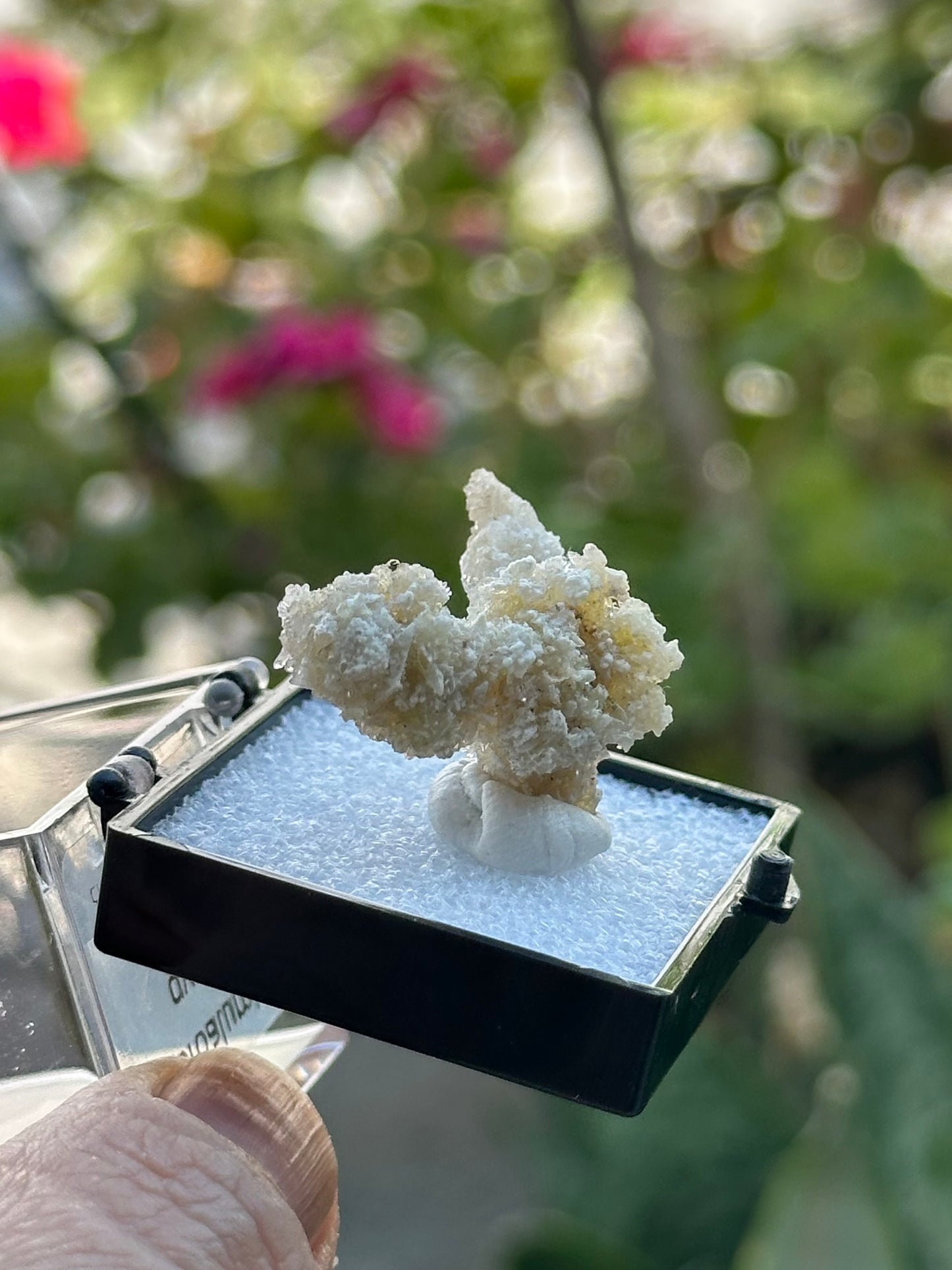 Fluoroaluminate Gypsum in a perky box from Guizhou Dachang, China