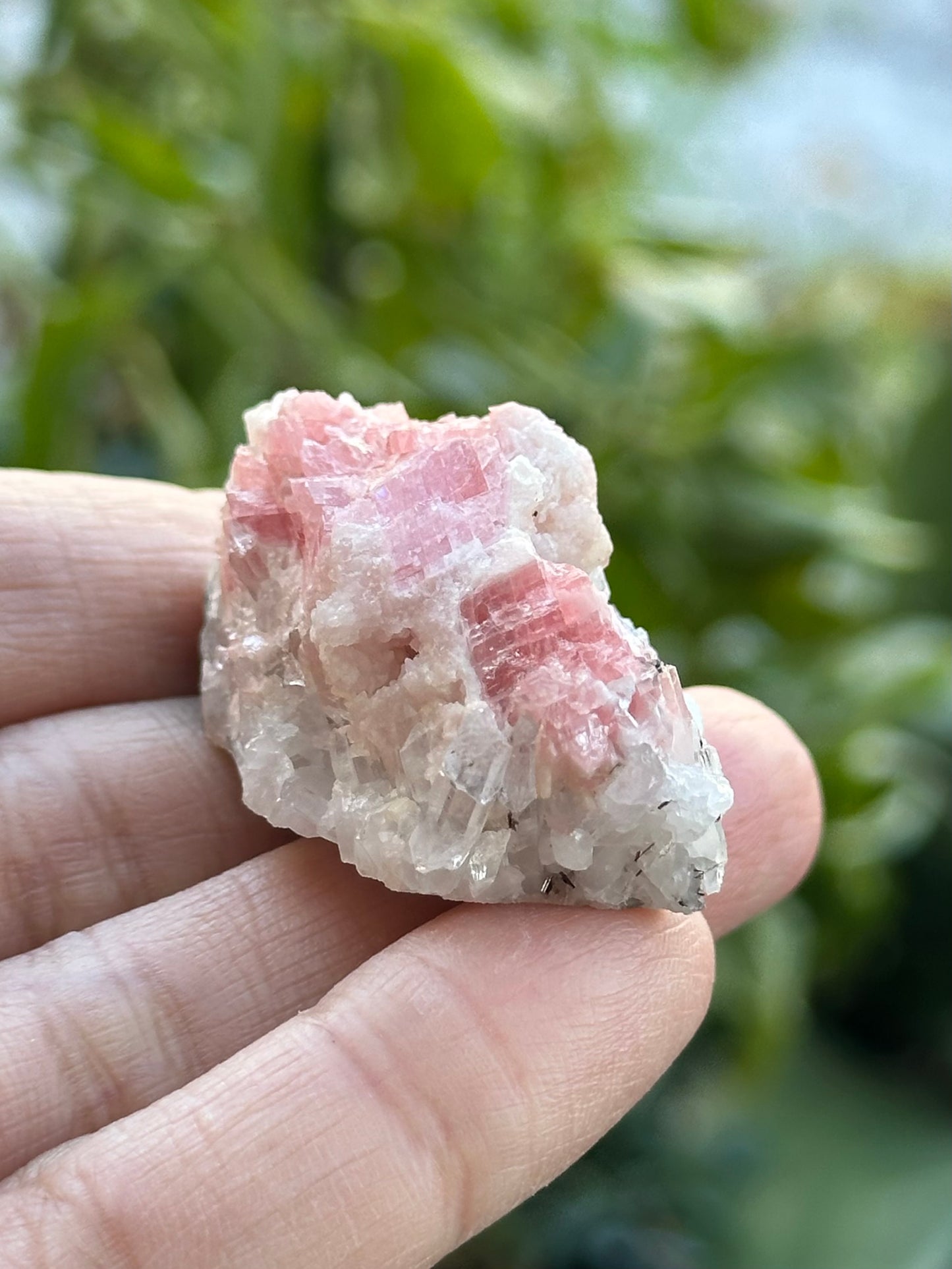 Rhodochrosite with Quartz on Matrix