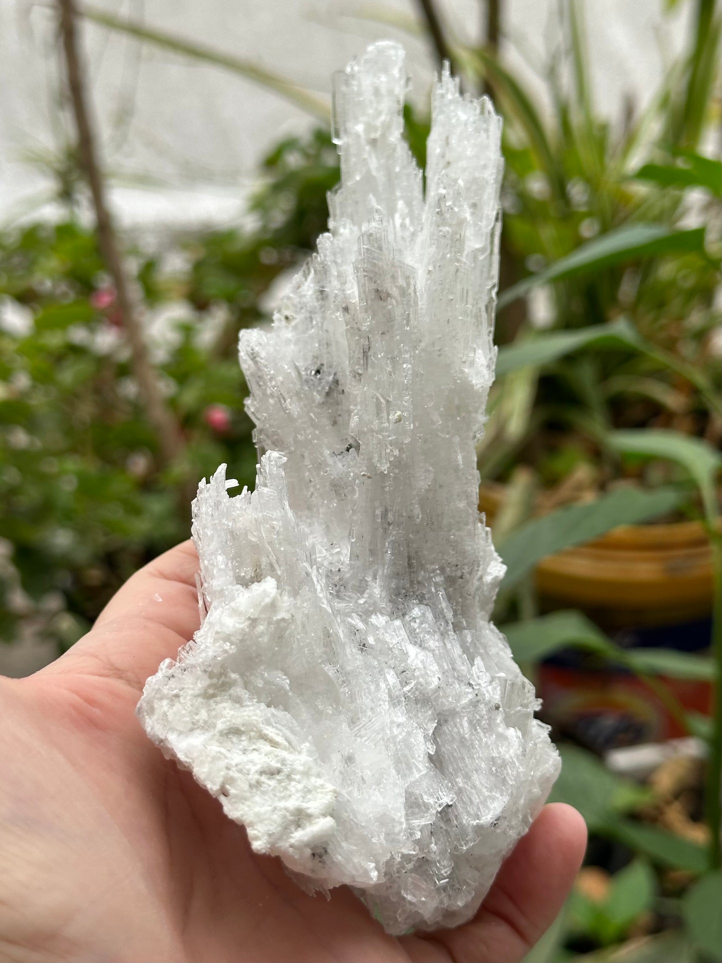 Selenite from Guizhou