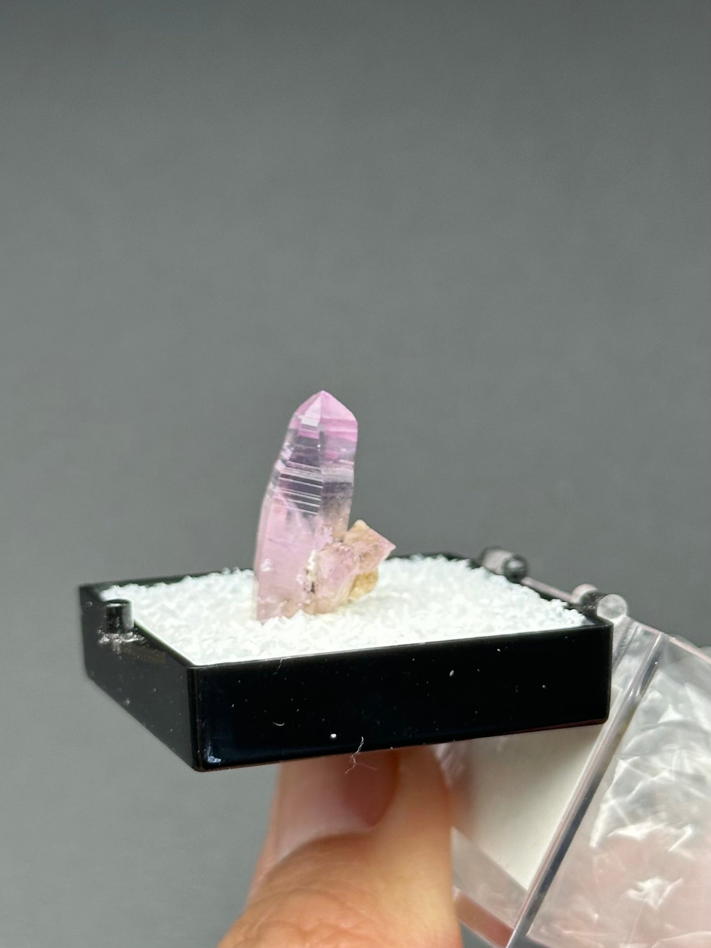 Veracruz Amethyst in a perky box from Veracruz, Mexico