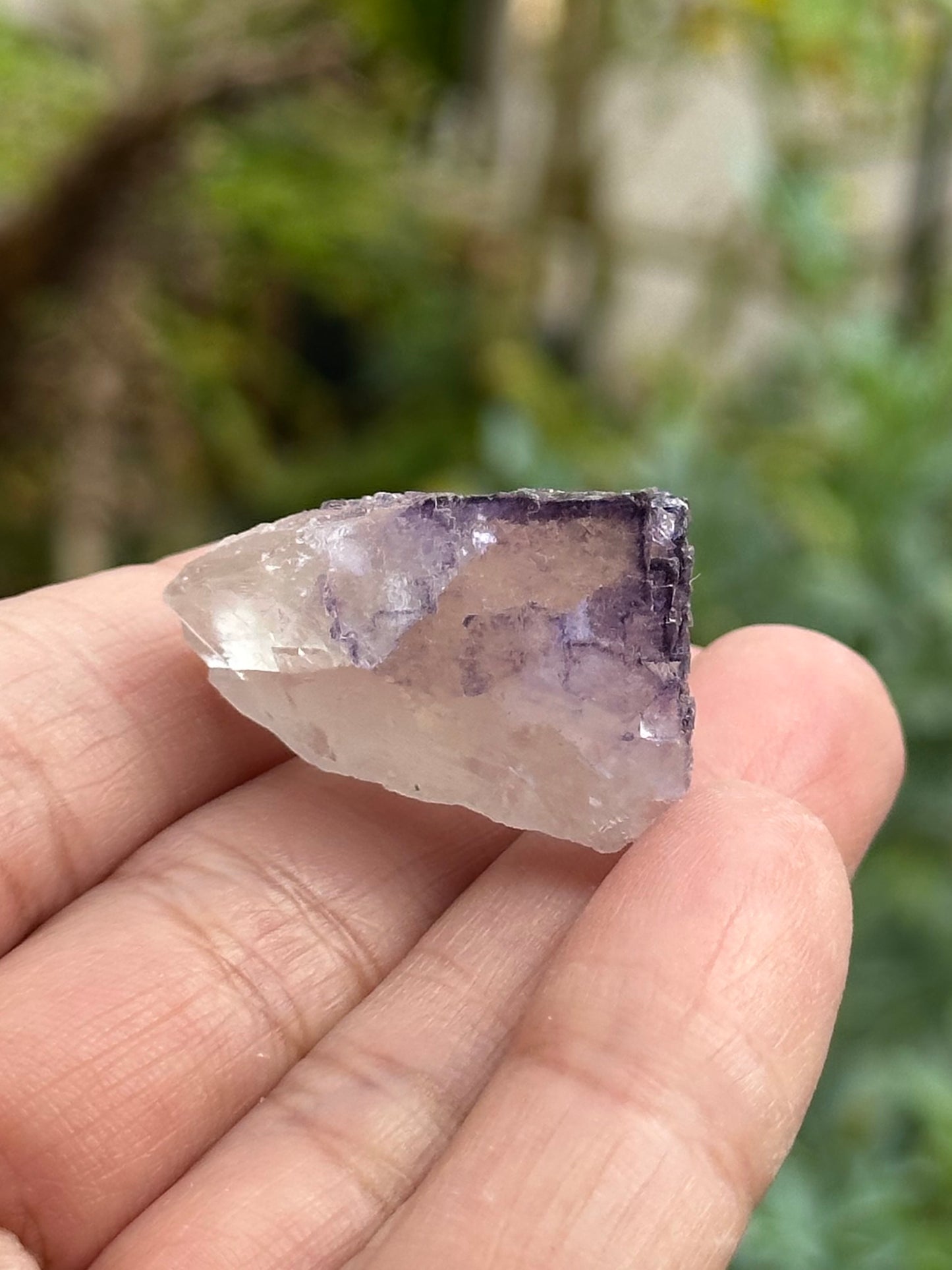 Fluorite from the Elmwood Mine