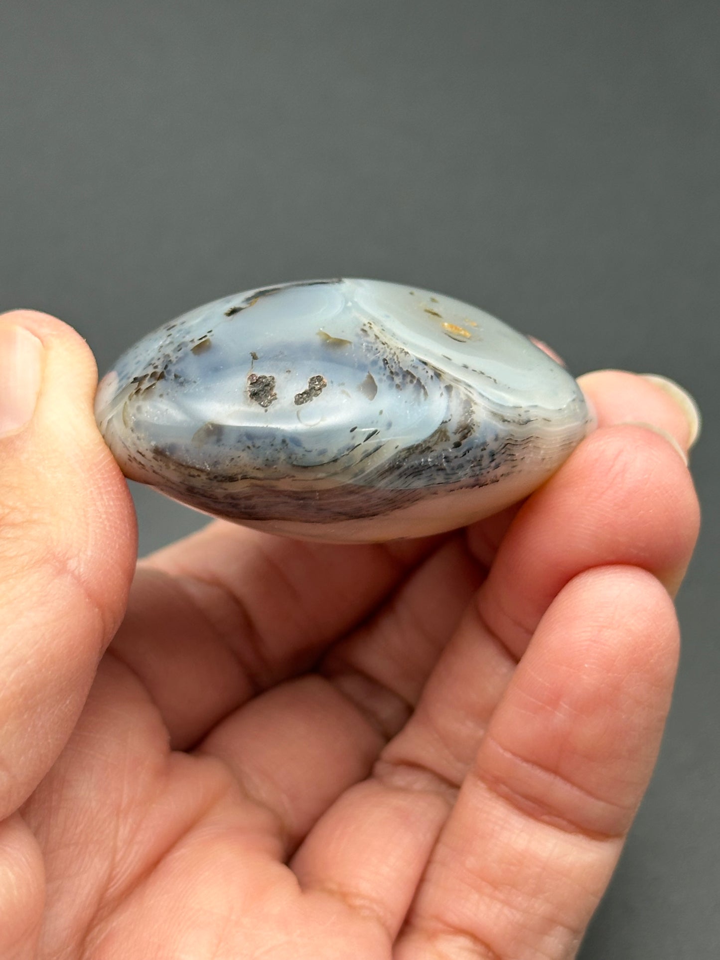 Dendritic Agate Palm Stone