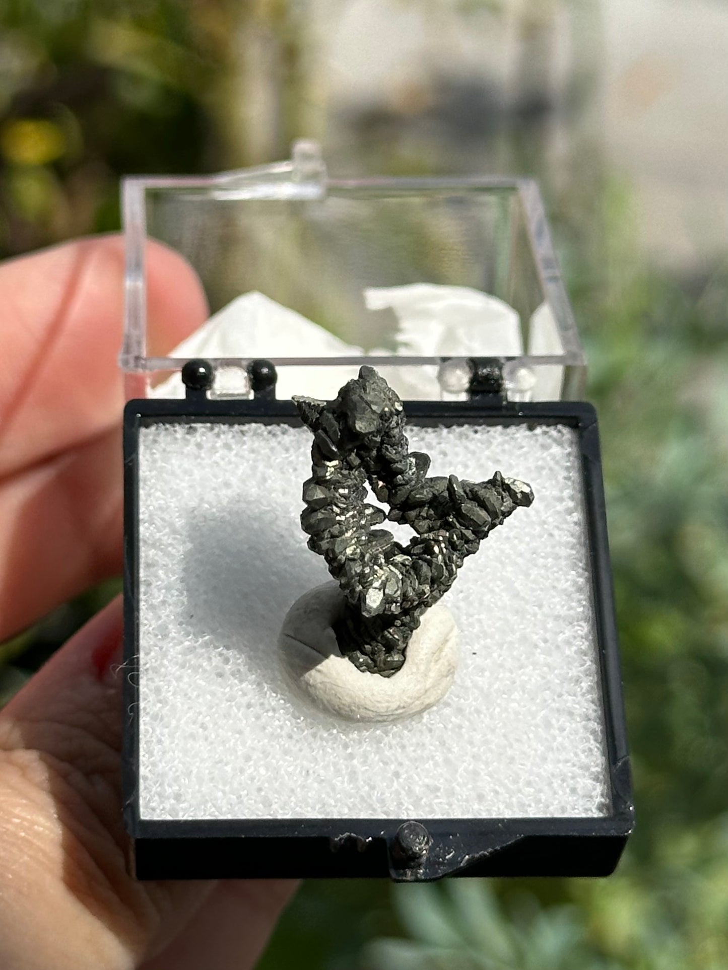 Marcasite Specimen from the Linwood Mine