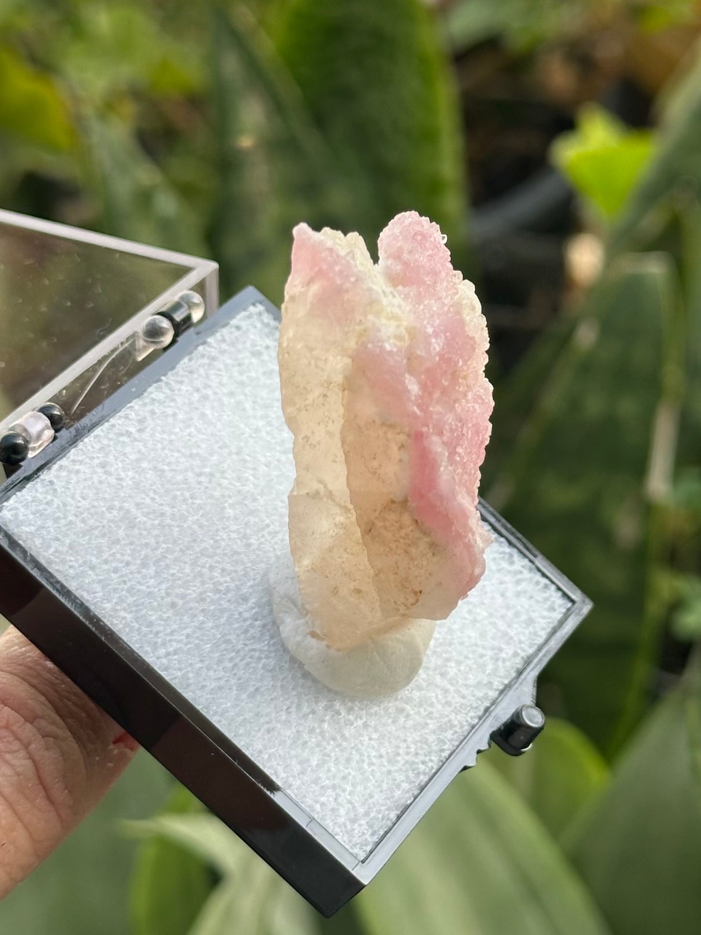 Crystallized Rose Quartz on Quartz