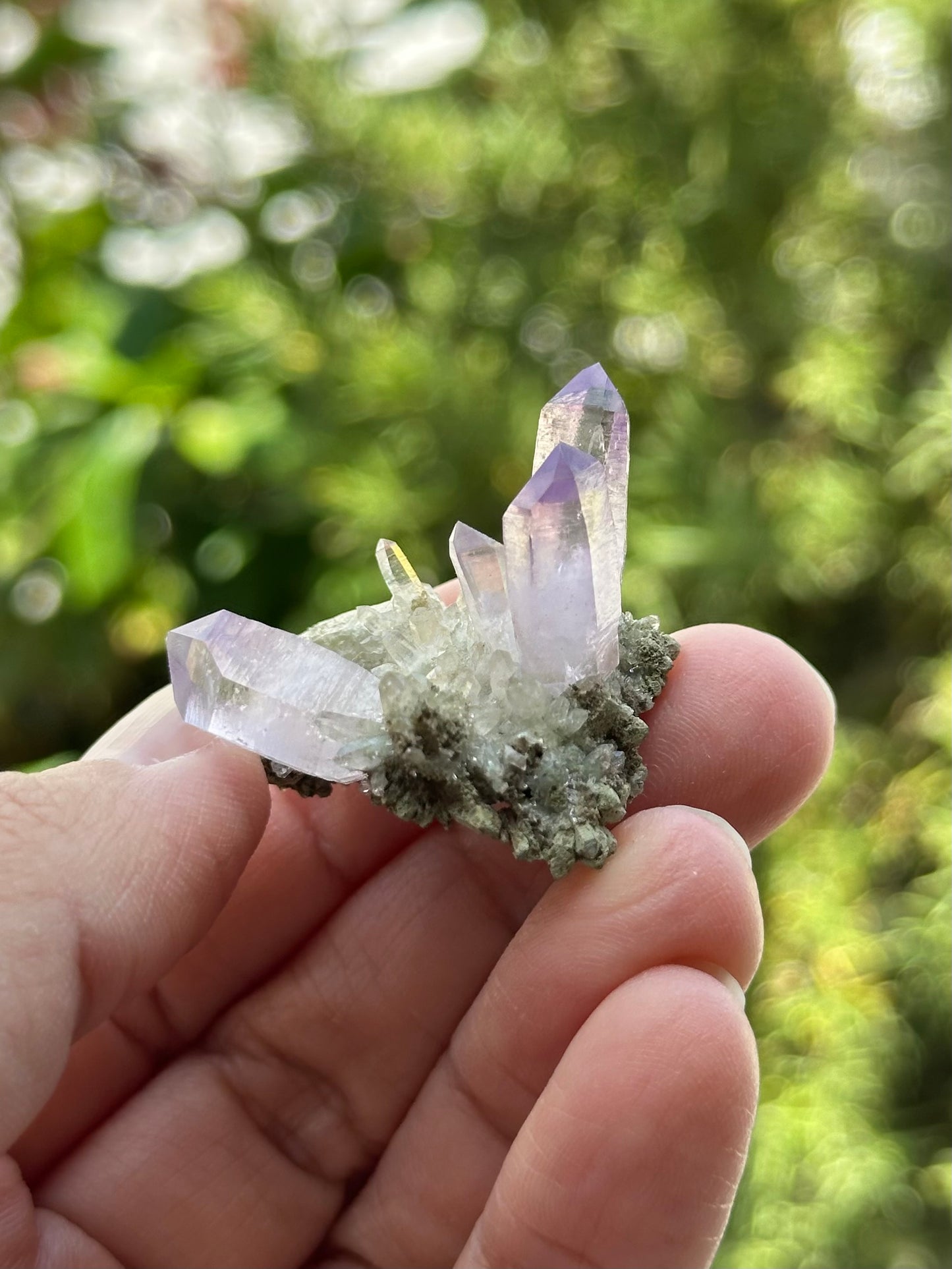 Veracruz Amethyst Cluster on Matrix