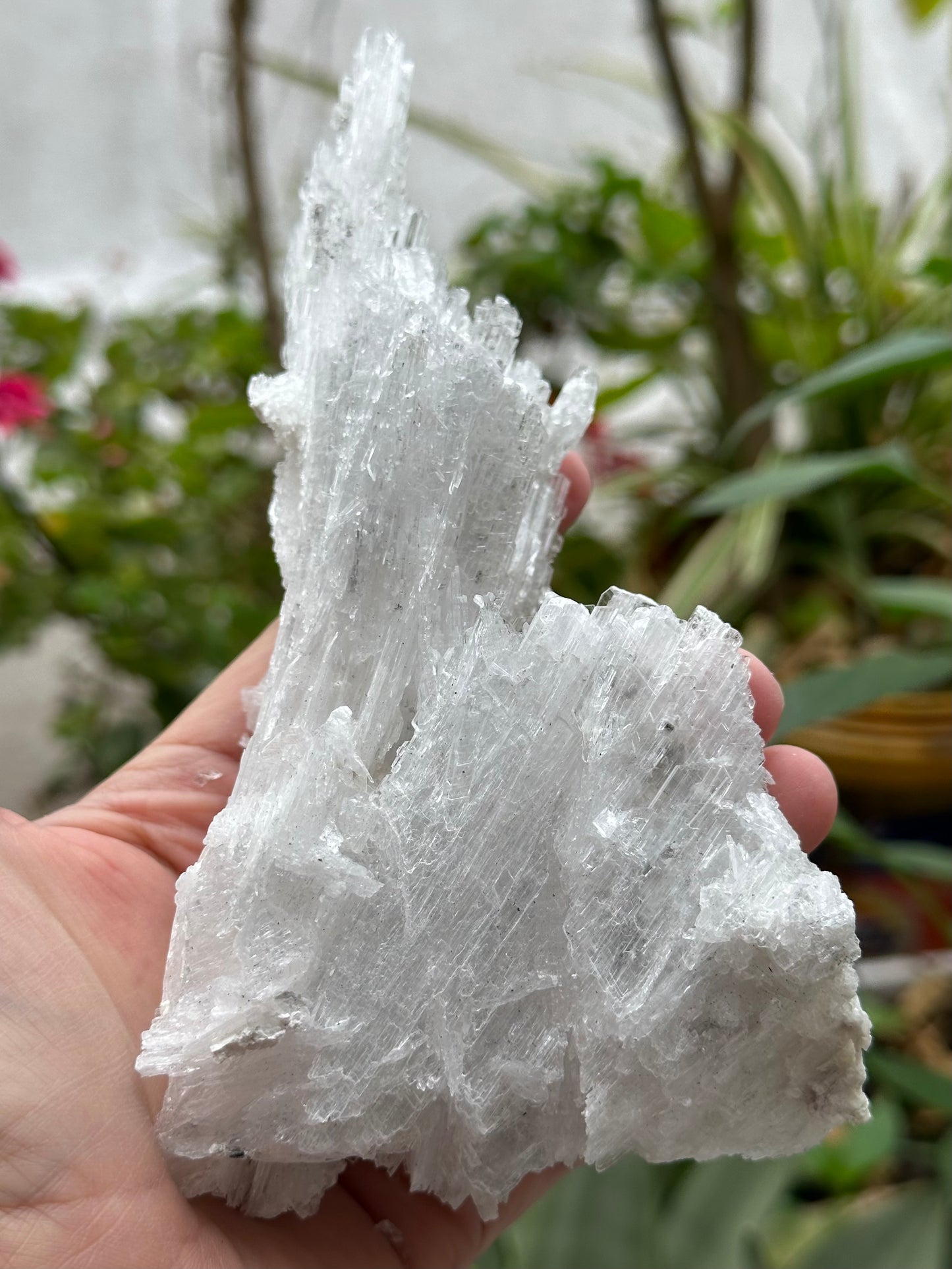 Selenite from Guizhou