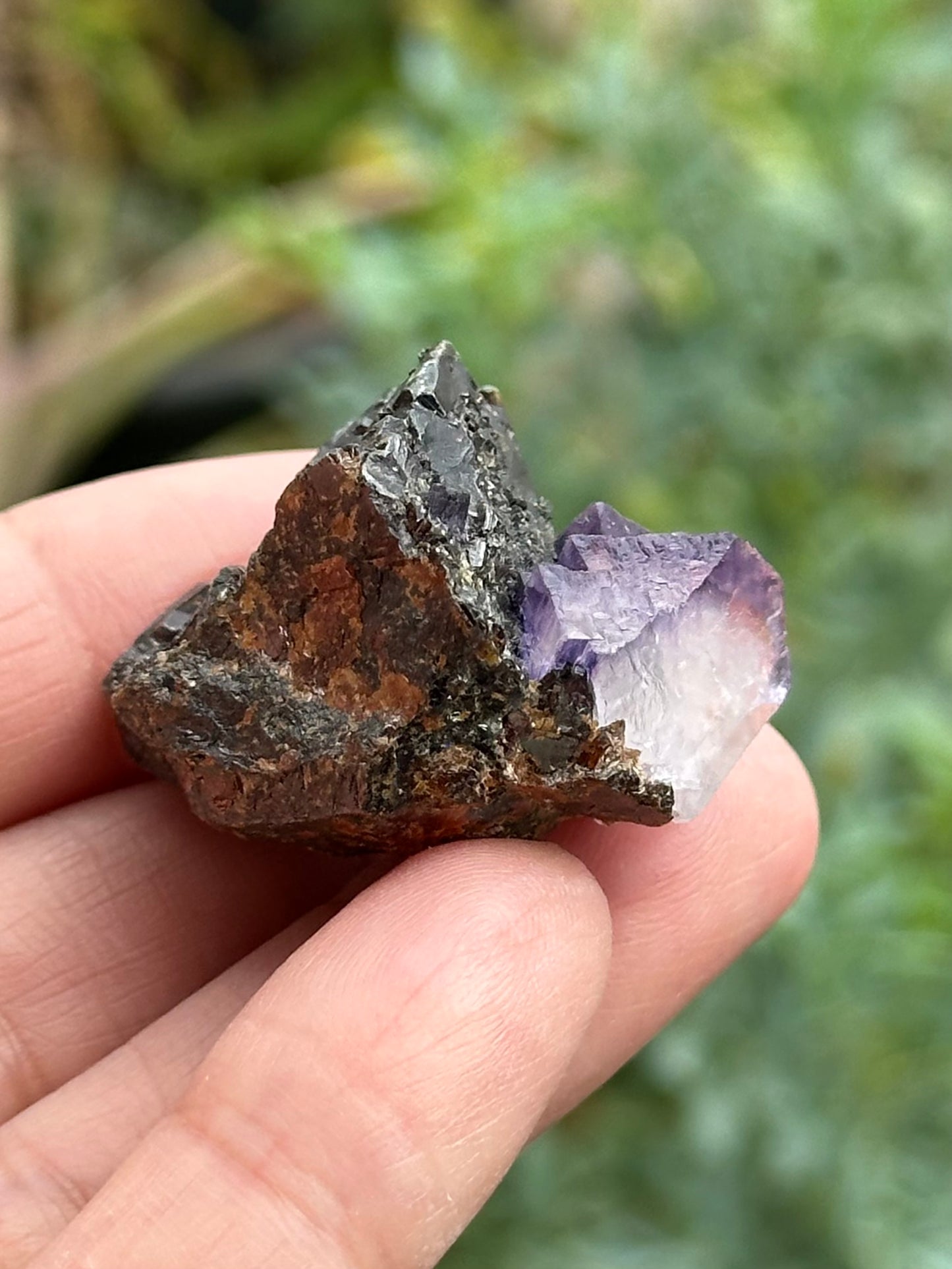 Sphalerite with Fluorite from the Elmwood Mine