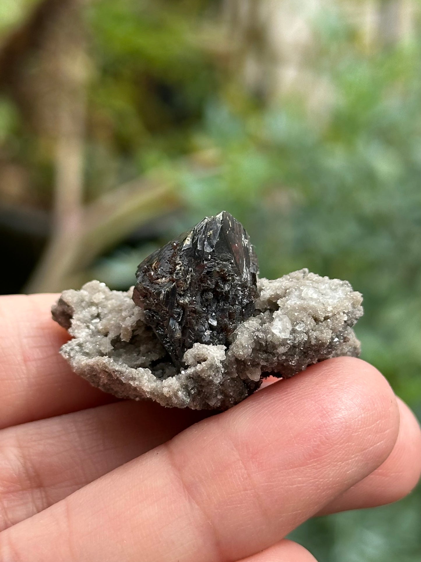 Dolomite and Sphalerite from the Elmwood Mine in Carthage, Tennessee