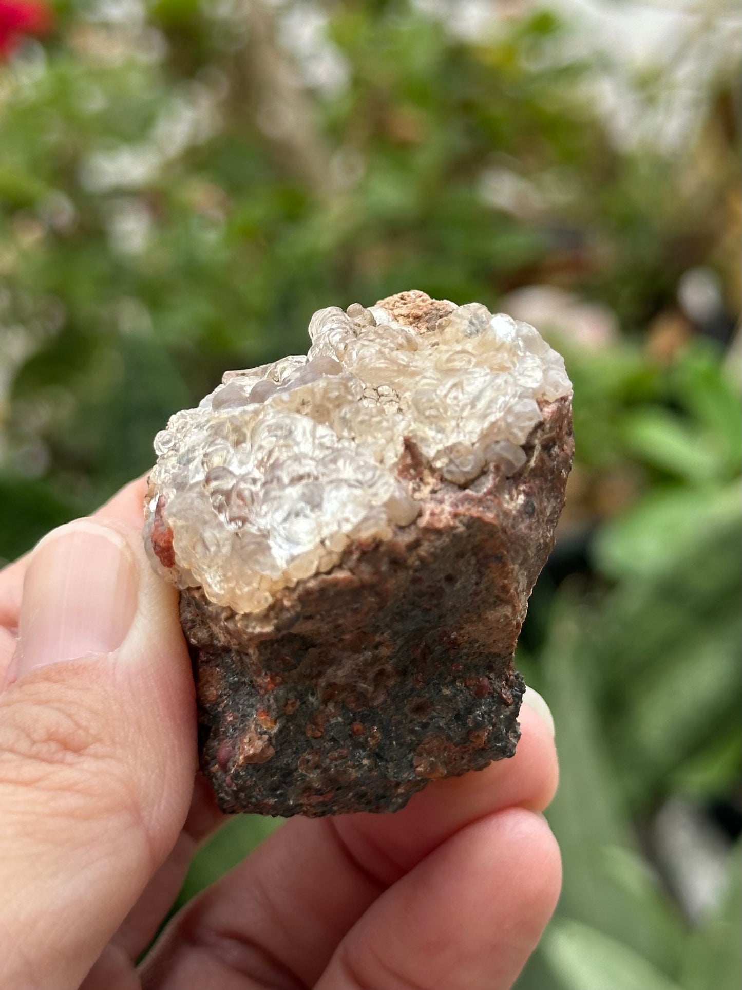 Hyalite Opal from Mexico