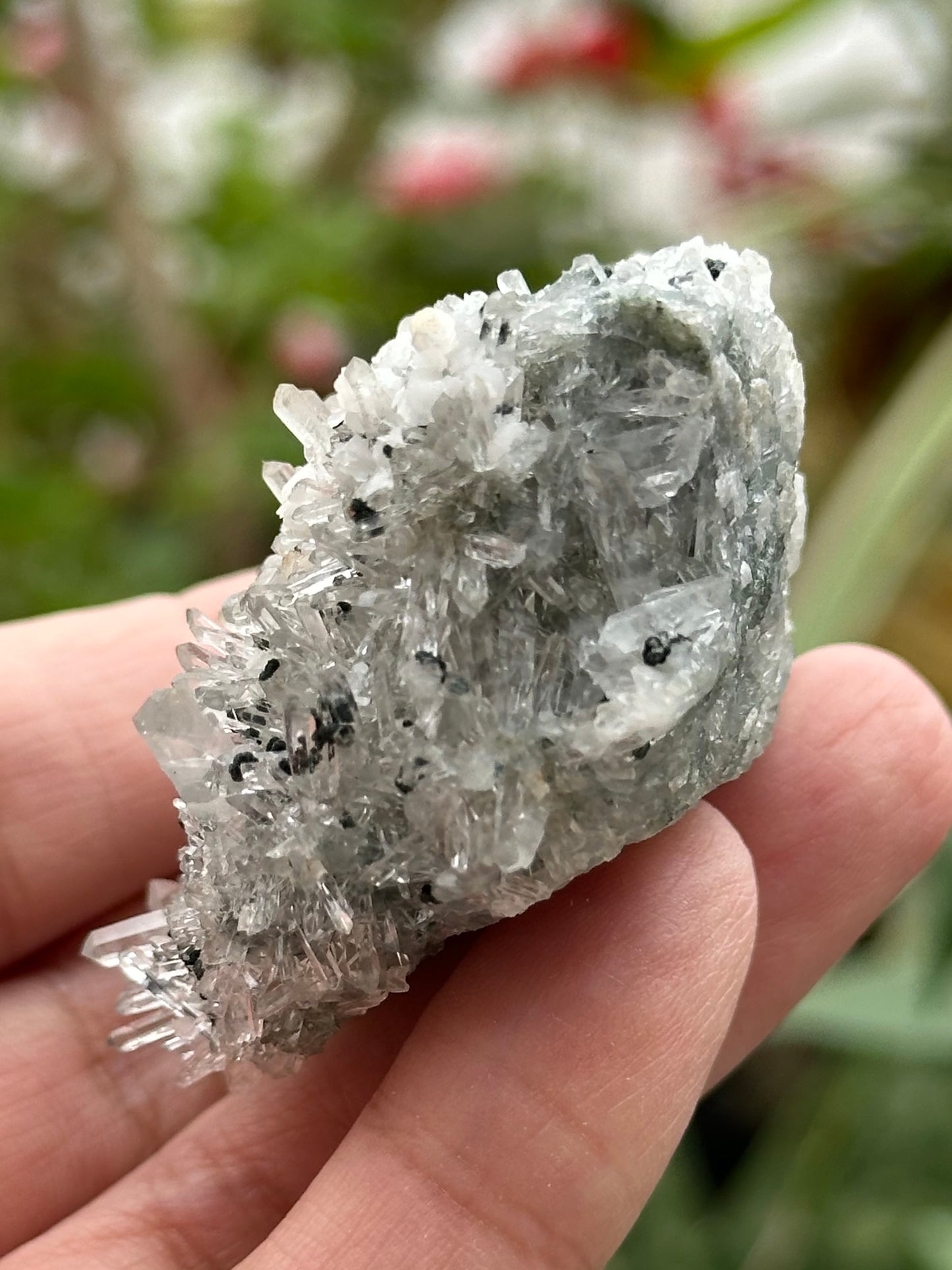 Quartz Specimen from Bulgaria