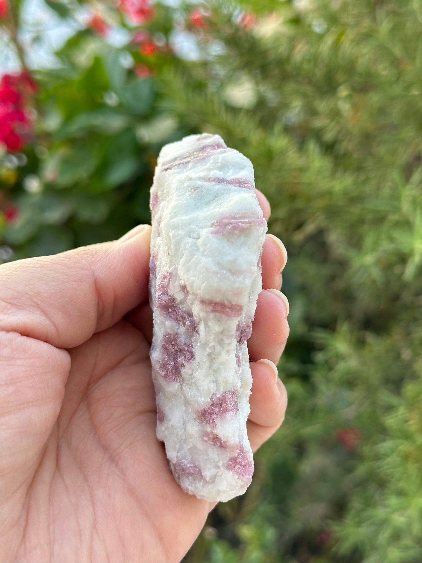 Rough Pink Tourmaline