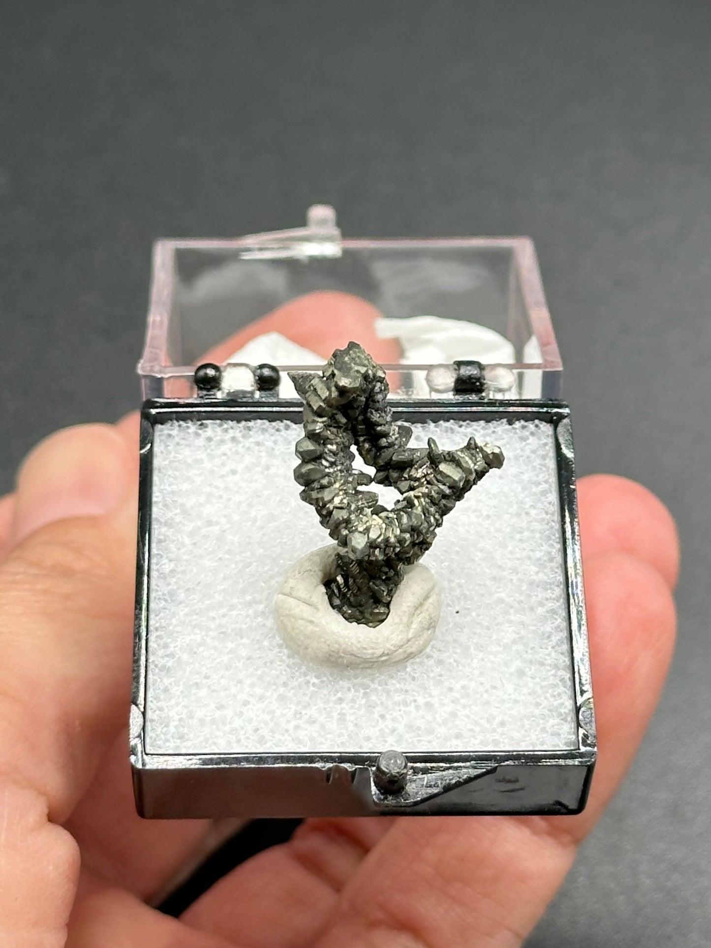 Marcasite Specimen from the Linwood Mine
