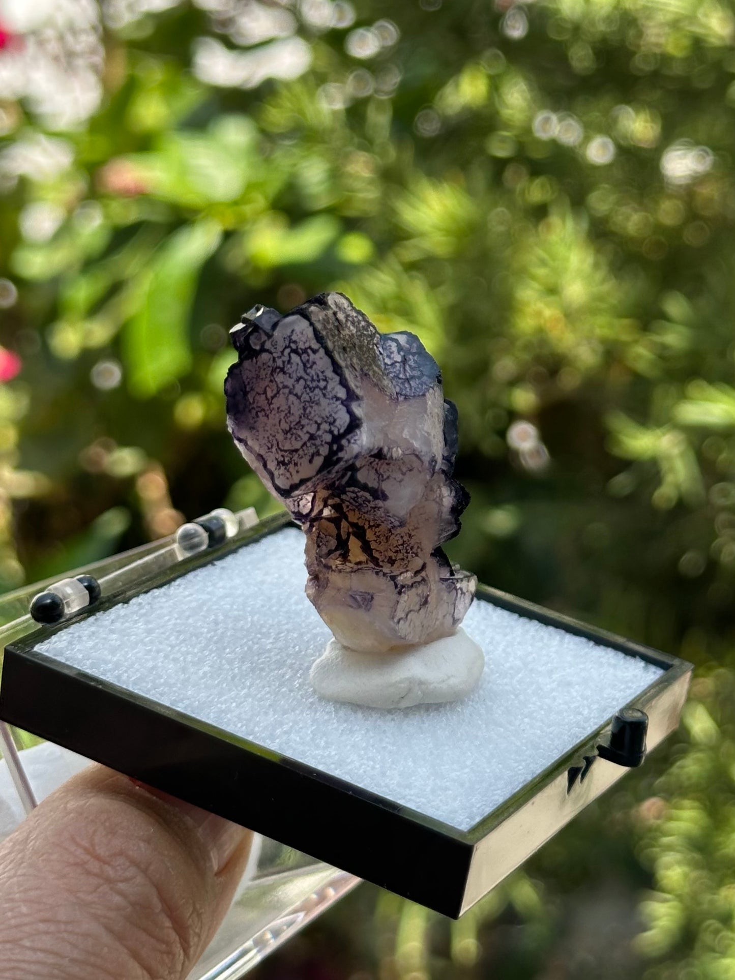 QR Code Fluorite