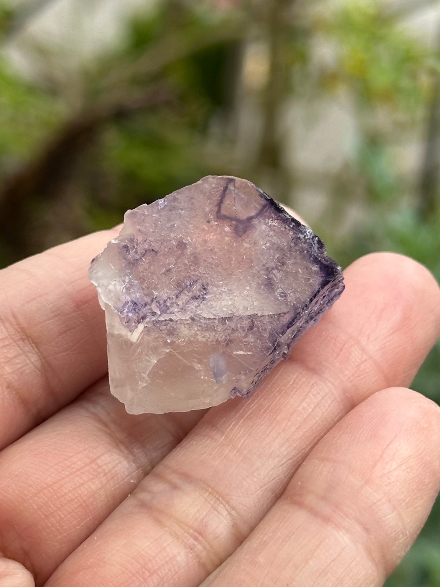 Fluorite from the Elmwood Mine