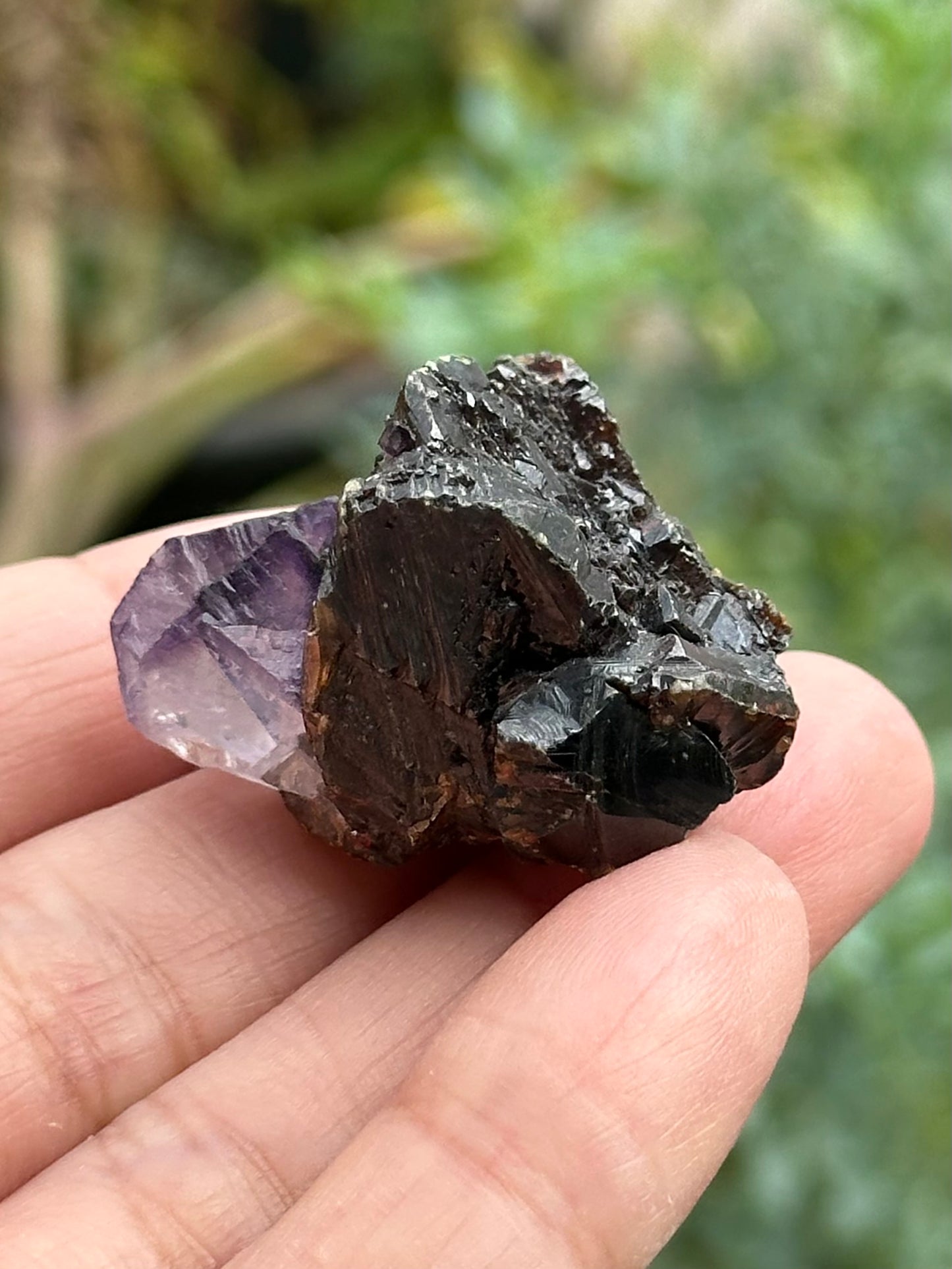 Sphalerite with Fluorite from the Elmwood Mine