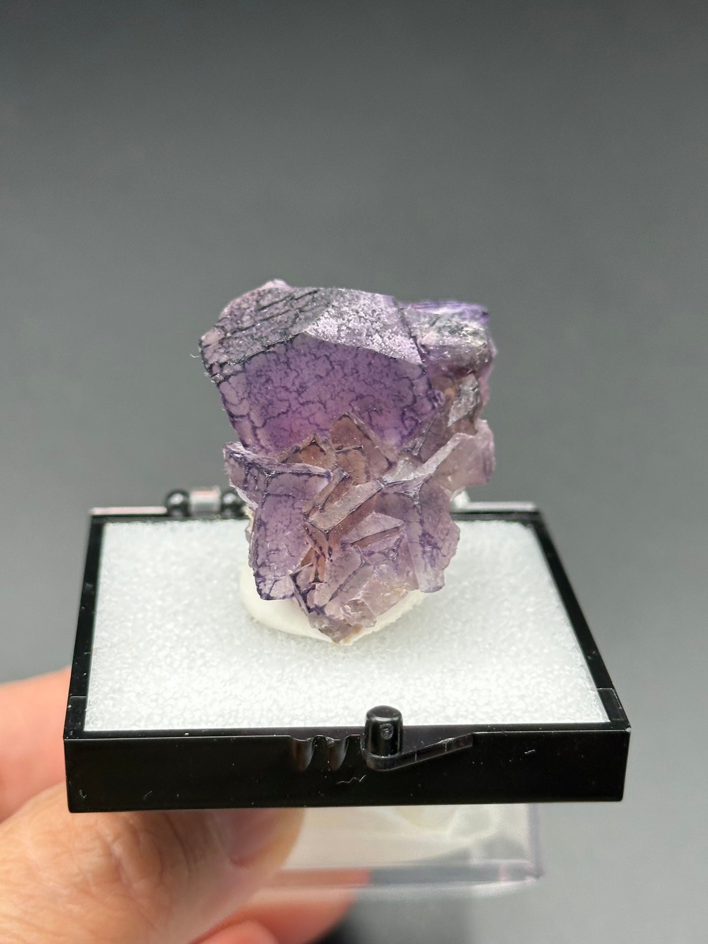 QR Code Fluorite Specimen in a perky box from the Quinlong Mine, Guizhou, China