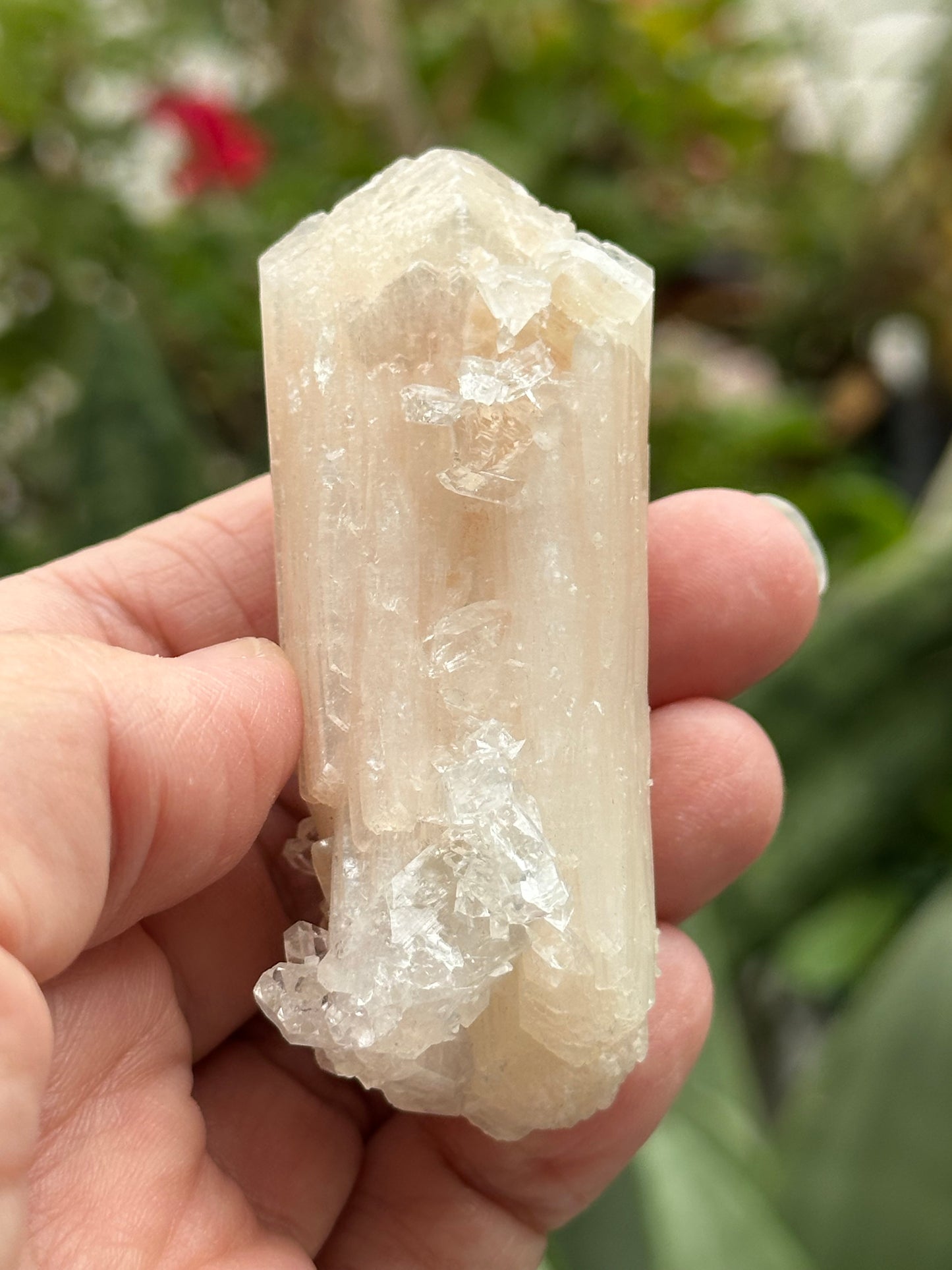 Apophyllite with Stilbite from India