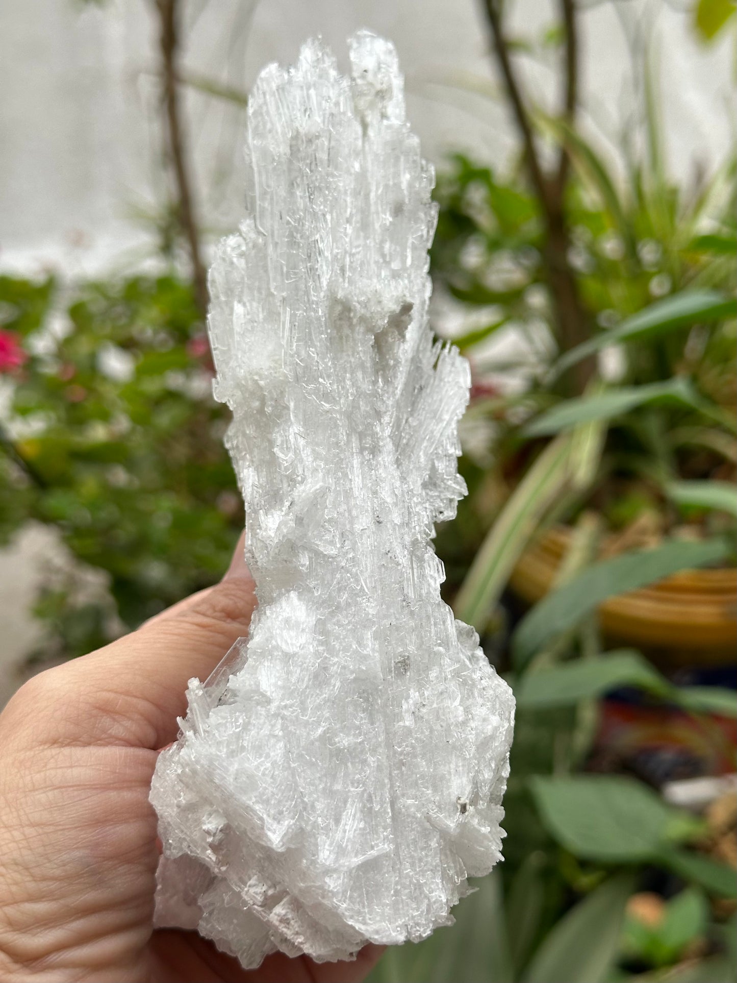 Selenite from Guizhou