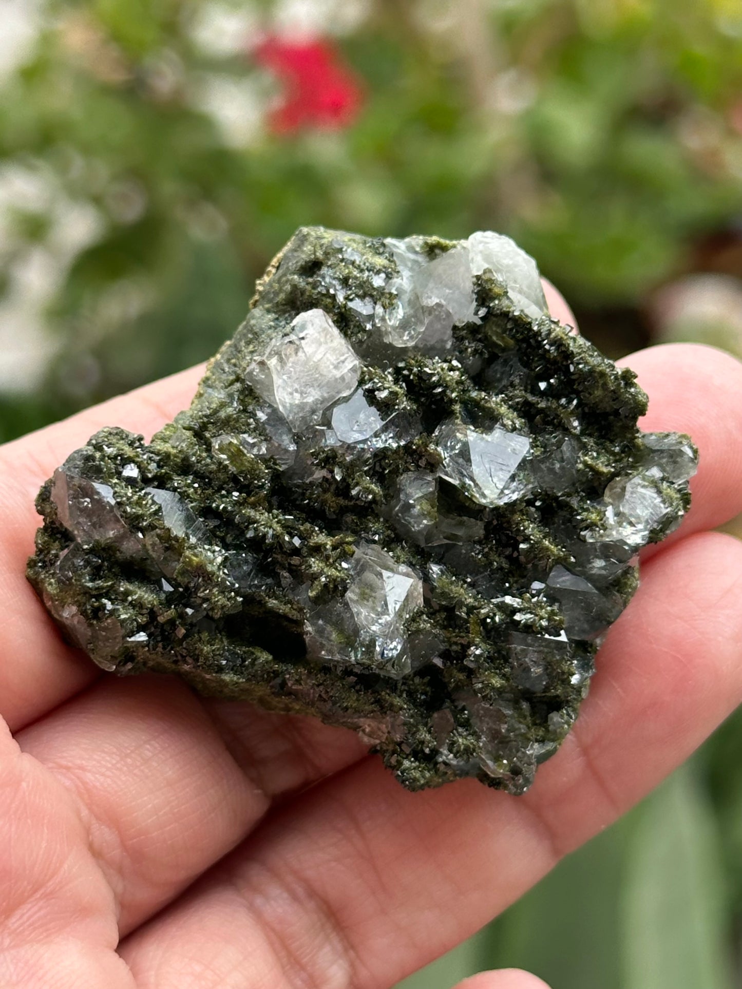 Epidote and Quartz from Turkey