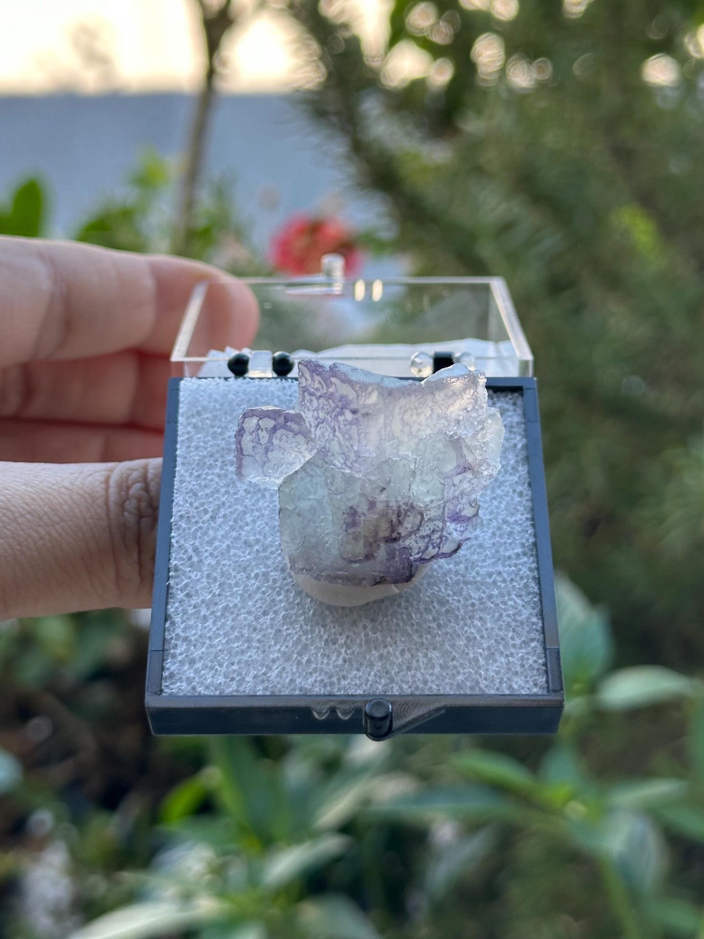 QR Code Fluorite Specimen in a perky box from Quinlong Mine, Guizhou, China