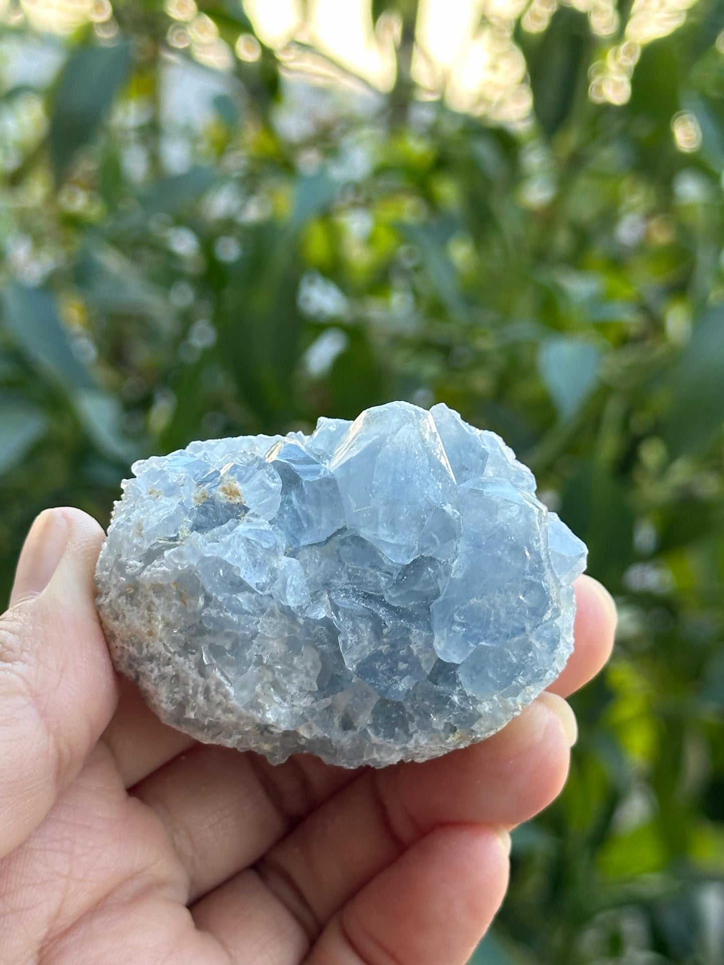 Celestite Cluster