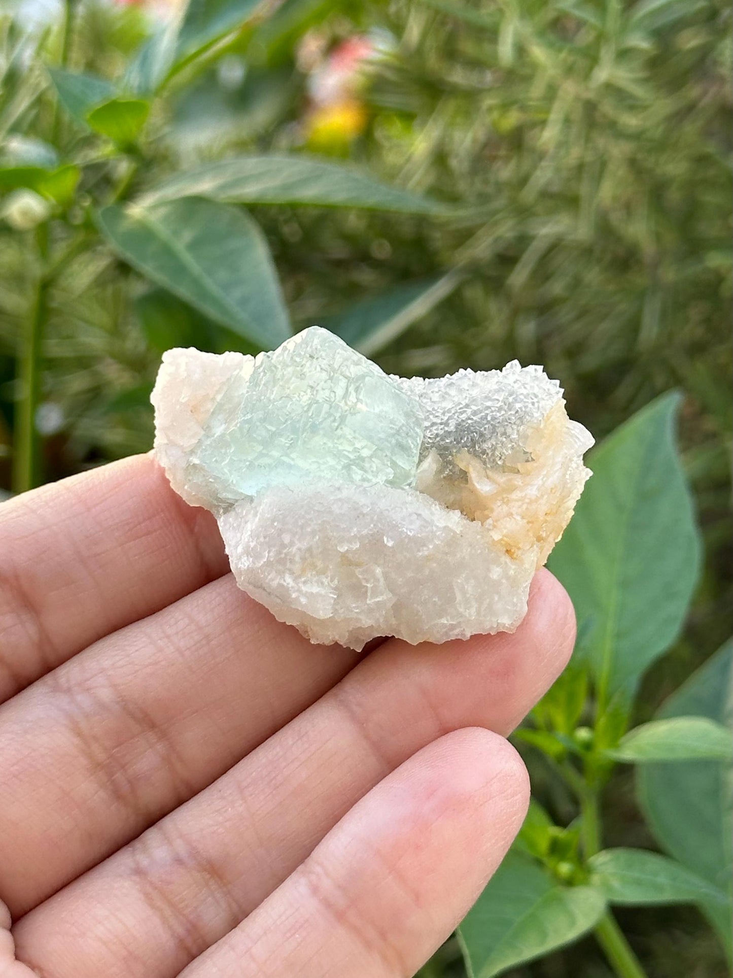 Fluorite Specimen from the Manaoshan Mine, Hunan, China
