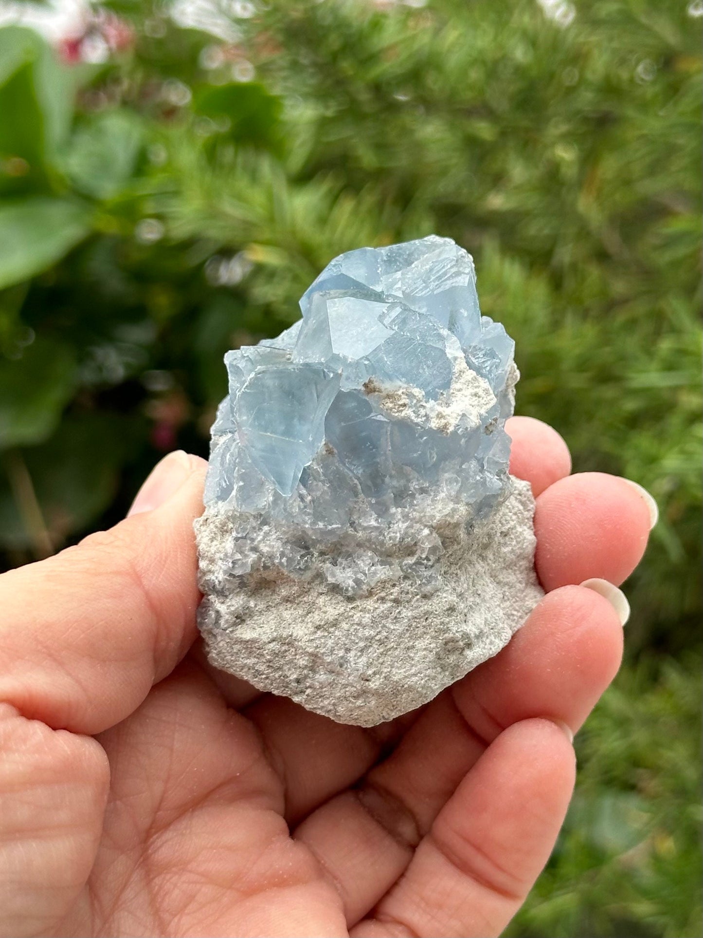 Celestite Cluster from Madagascar