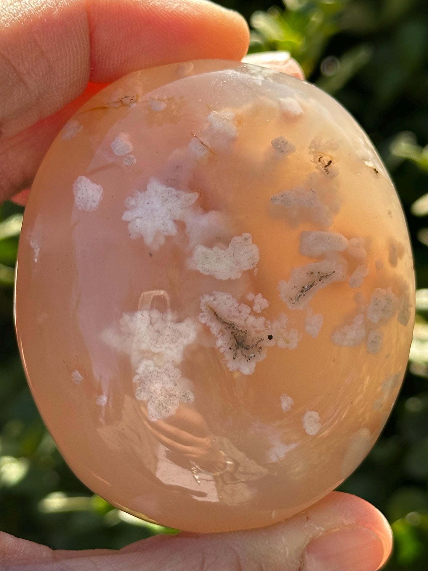 Flower Agate Palm Stone
