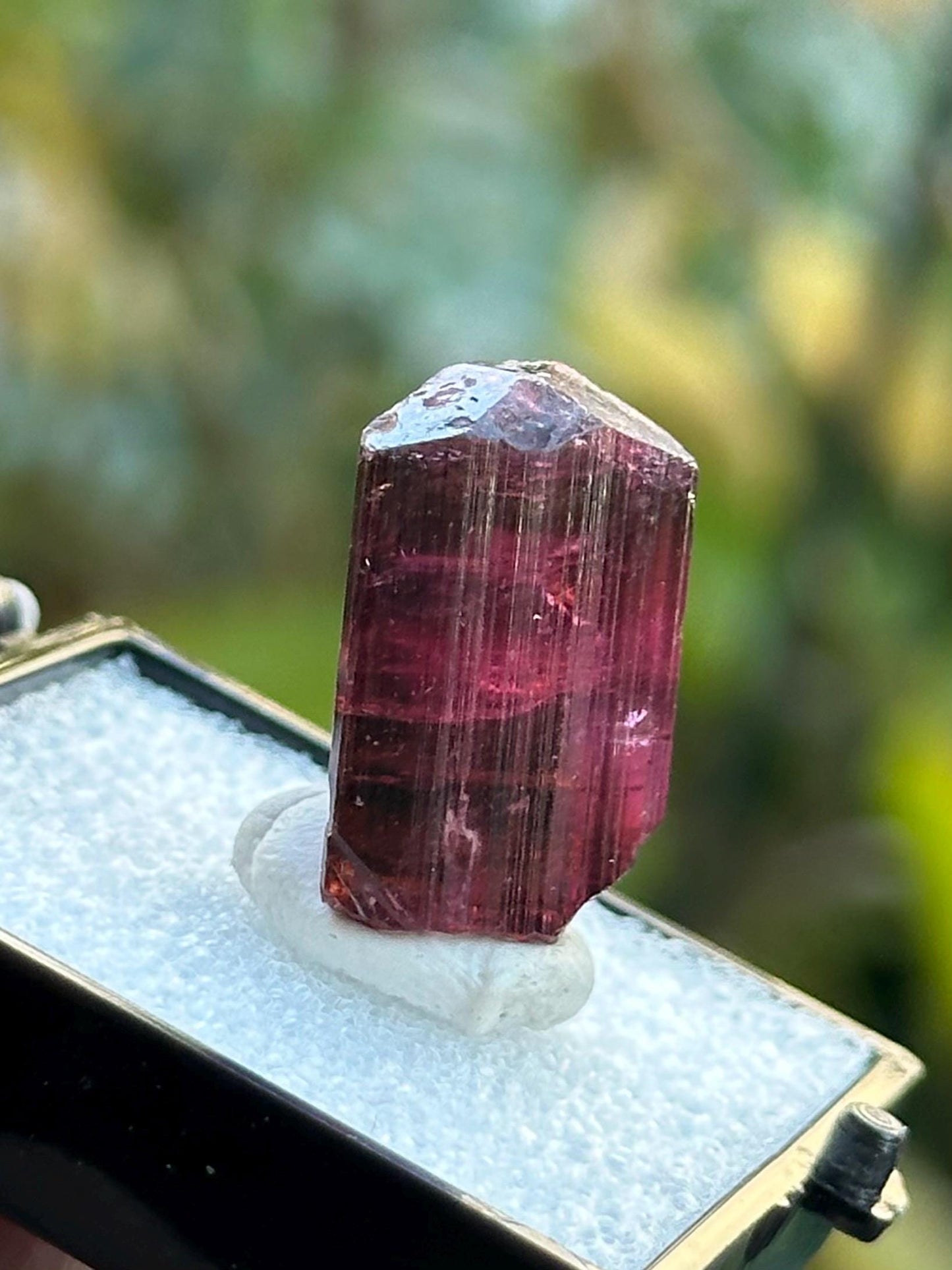 Tourmaline from Cruzeiro Mine