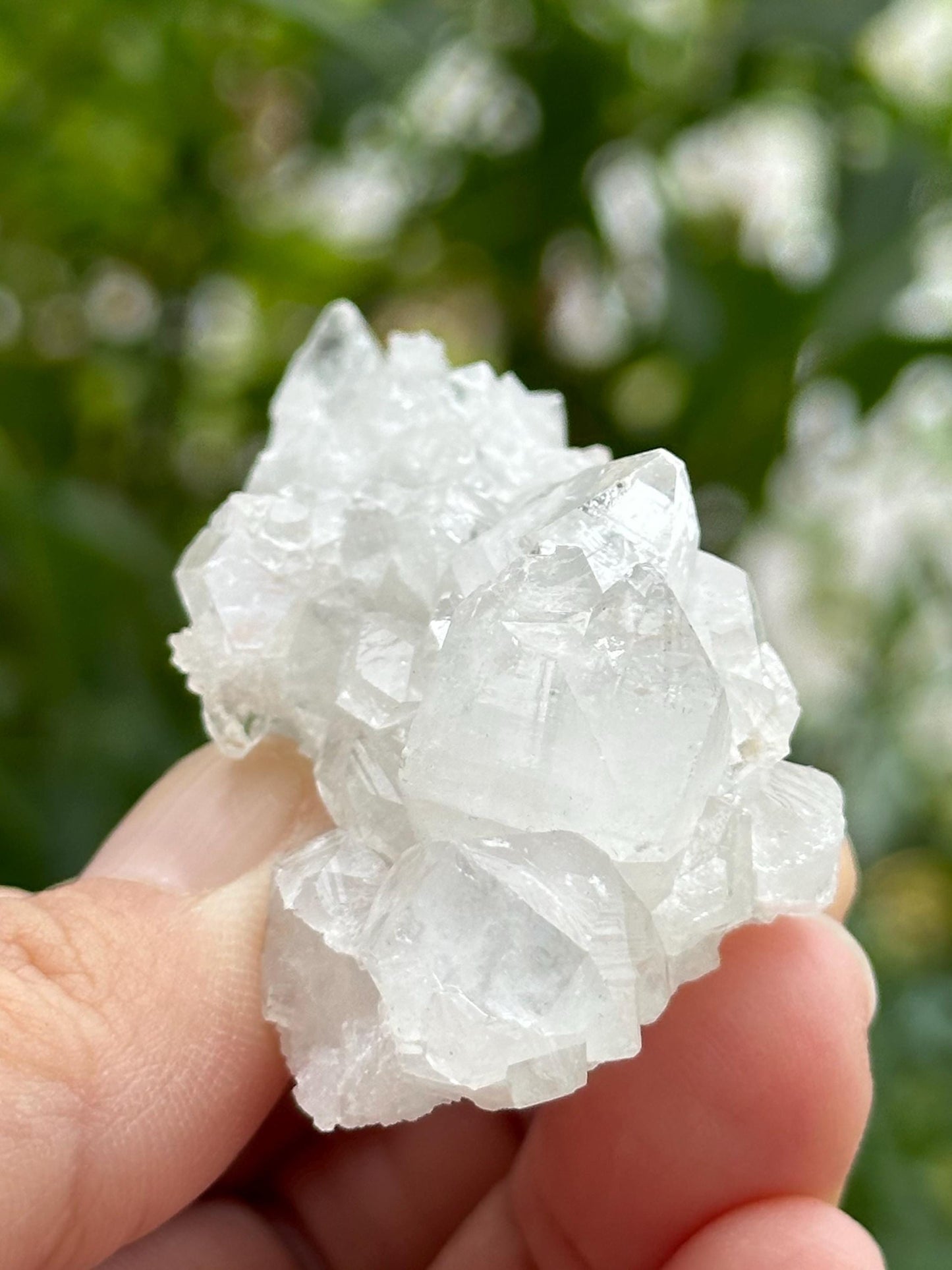 Apophyllite from India