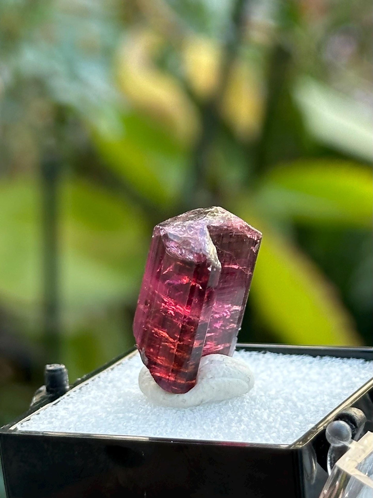 Tourmaline from Cruzeiro Mine