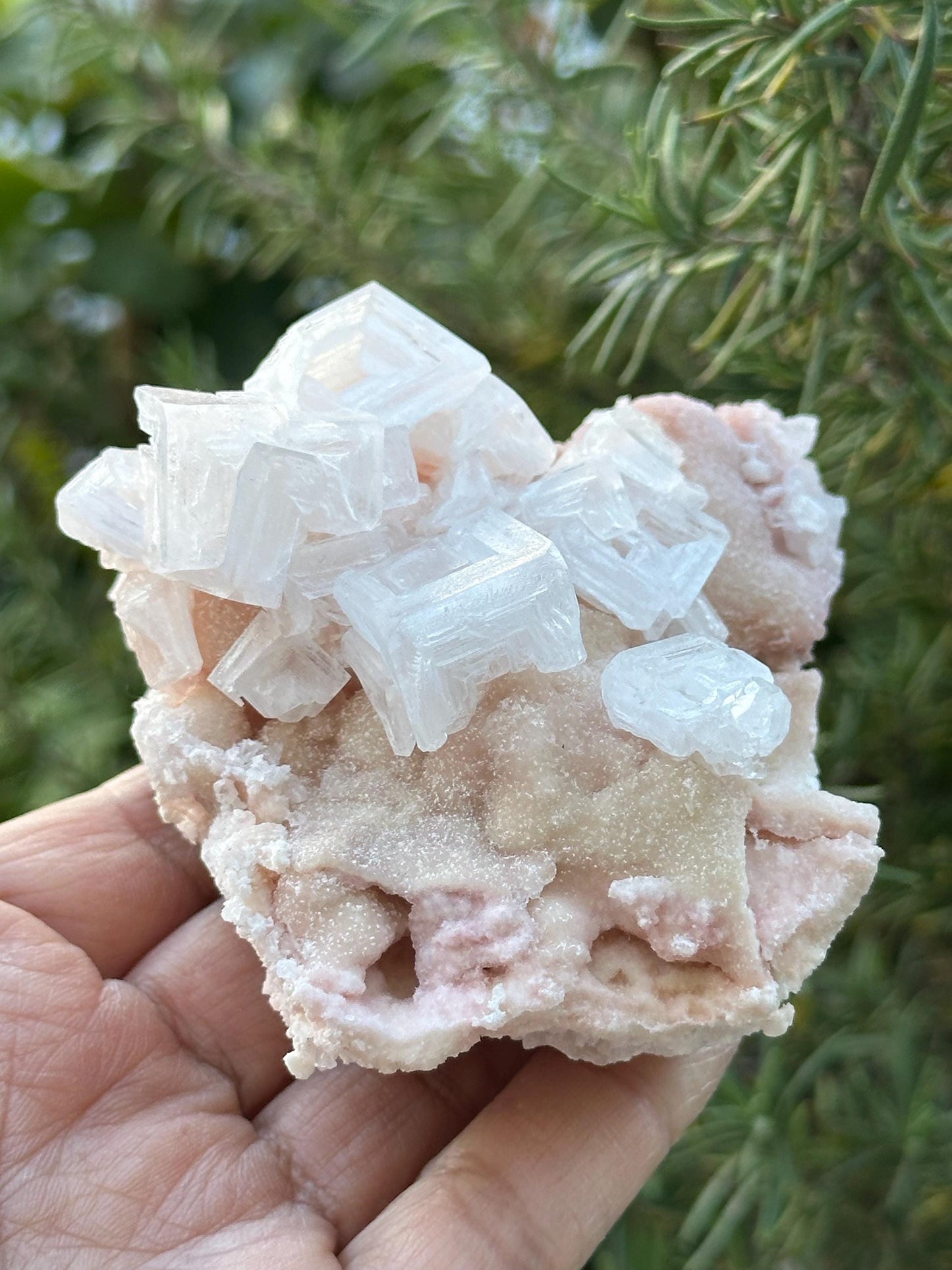 Light Pink Halite on Trona from Searles Lake, California