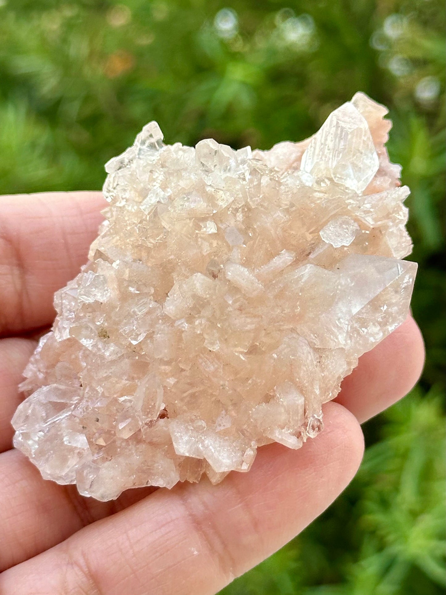 Apophyllite with Stilbite Specimen from India
