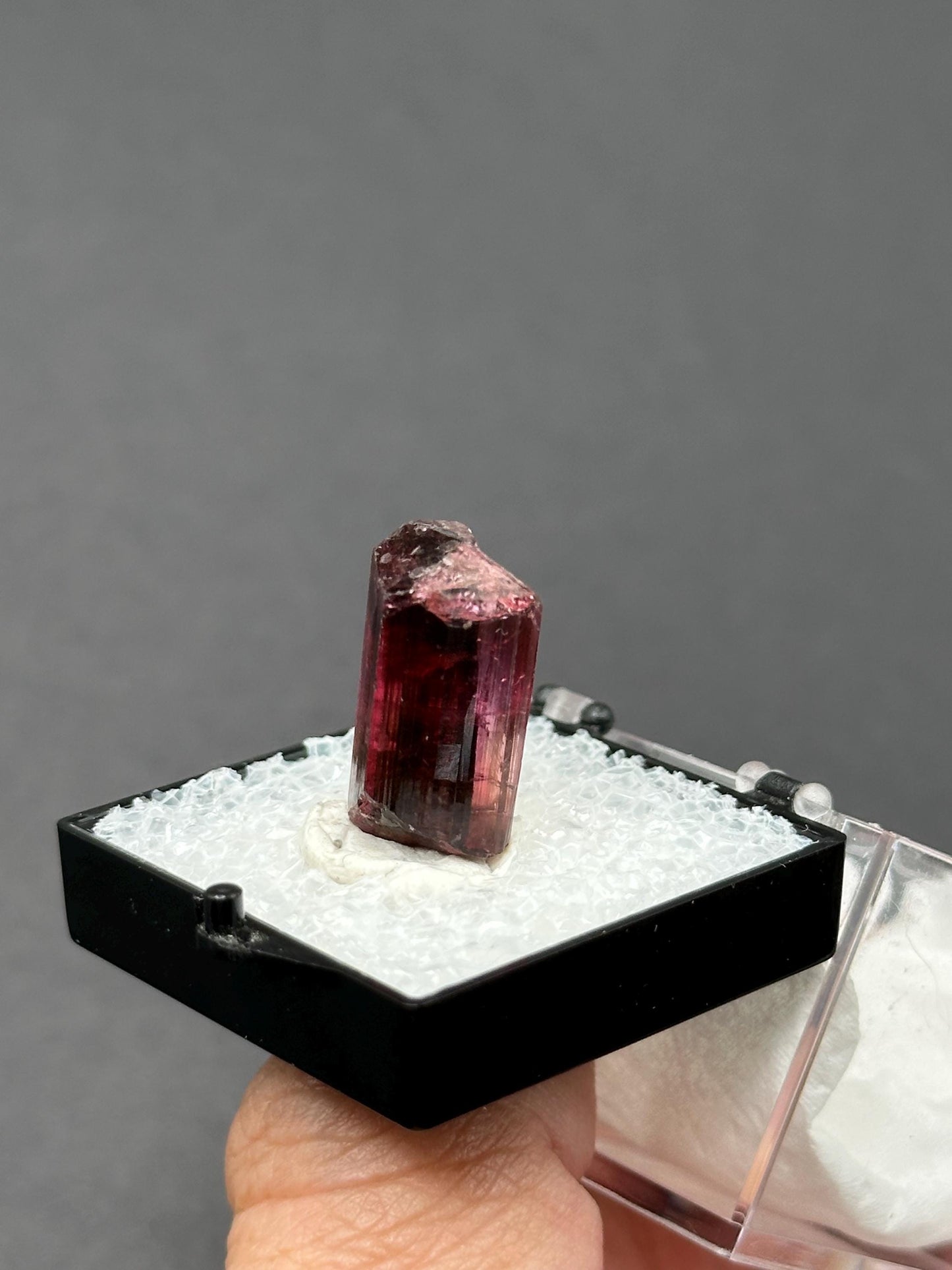 Tourmaline from Cruzeiro Mine