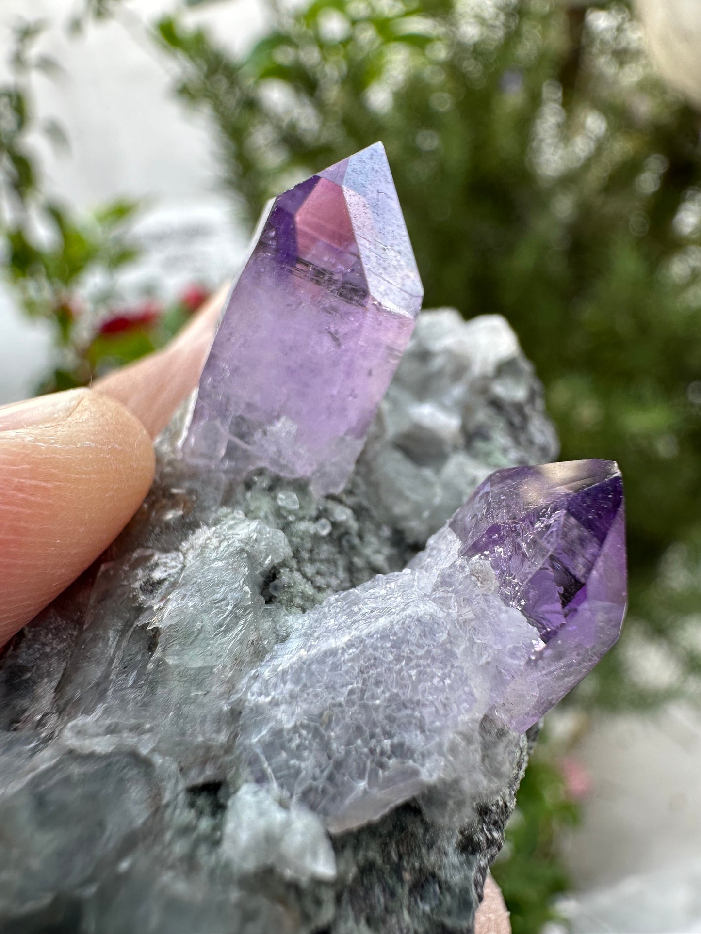 Veracruz Amethyst on Matrix