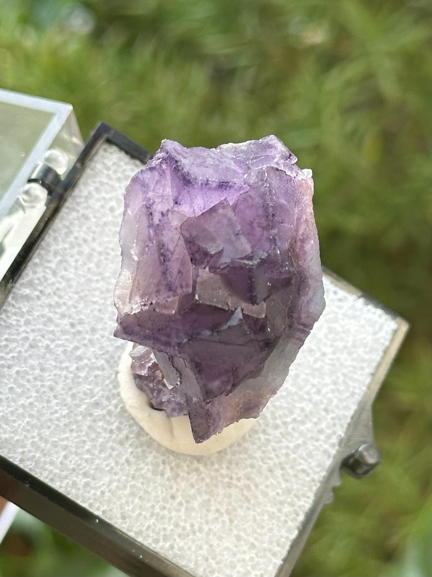 Fluorite Specimen in a perky box from Quinlong Mine, Guizhou, China